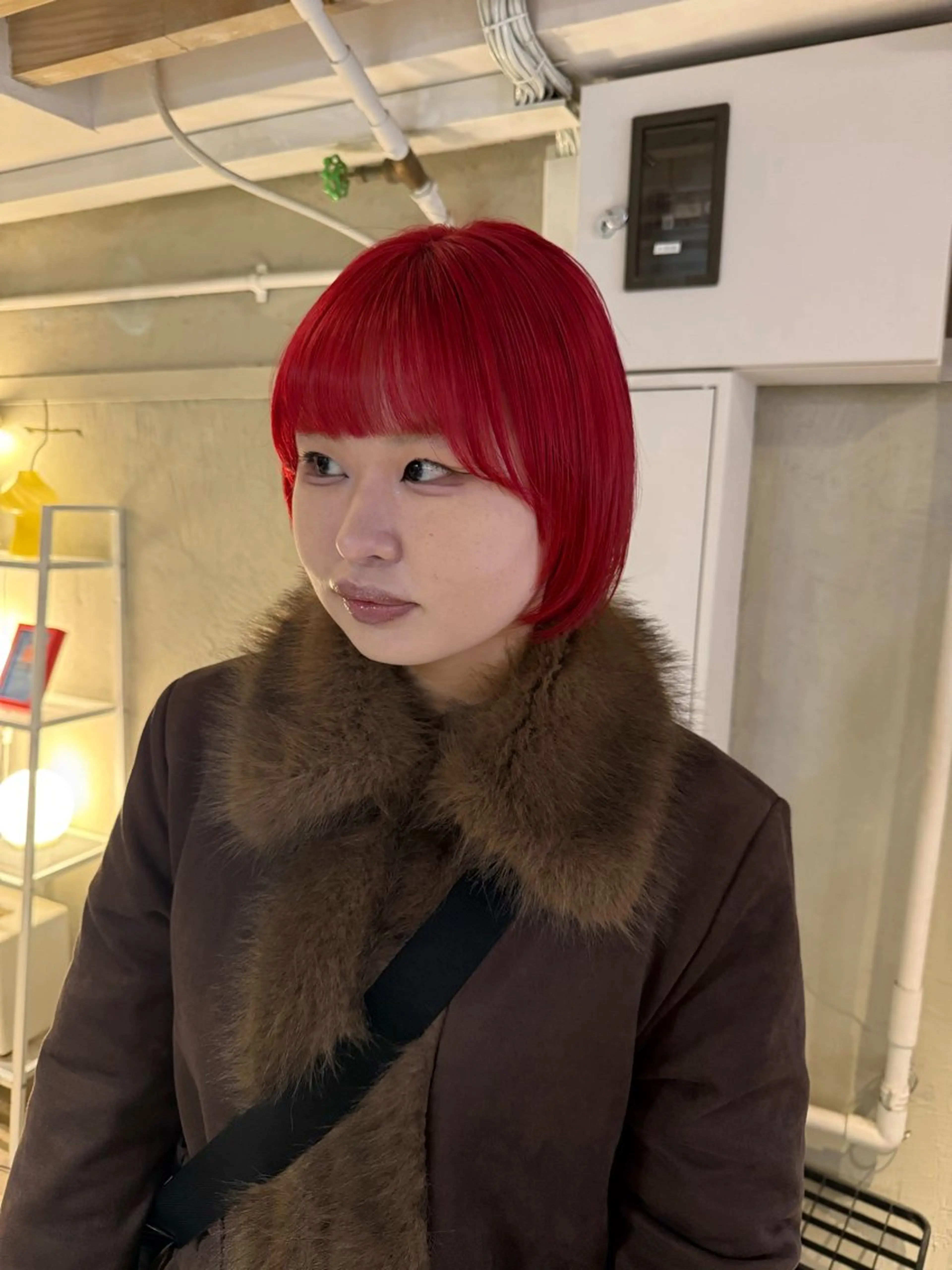 ショート カラー ヘアアレンジ ヘアカラー トリートメント ヘアセット 海外/ハイトーン🪽 ☯️ami☯️のヘアスタイル