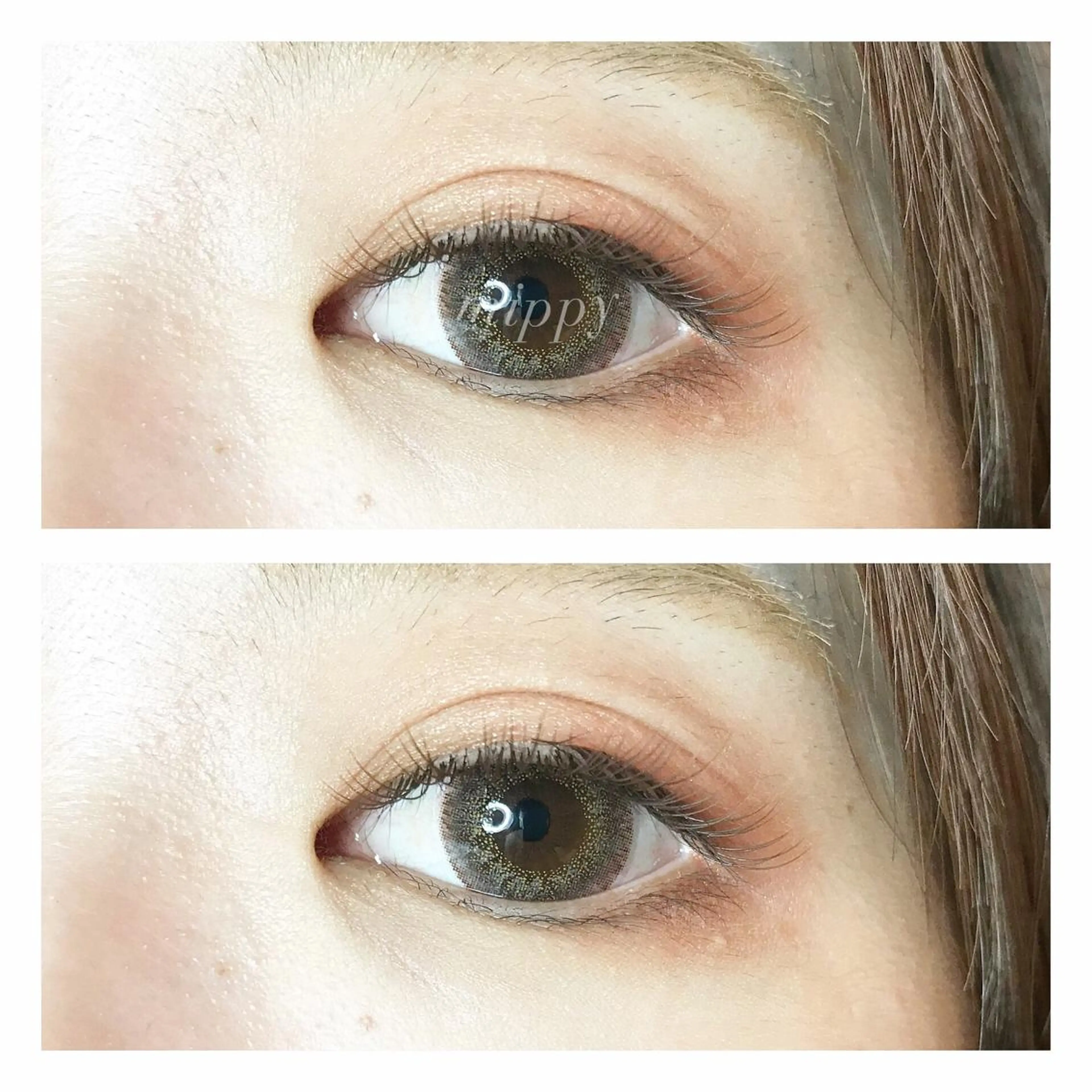 マツエク・マツパ ｍｉｐｐｙ 🪽のマツエク・マツパデザイン