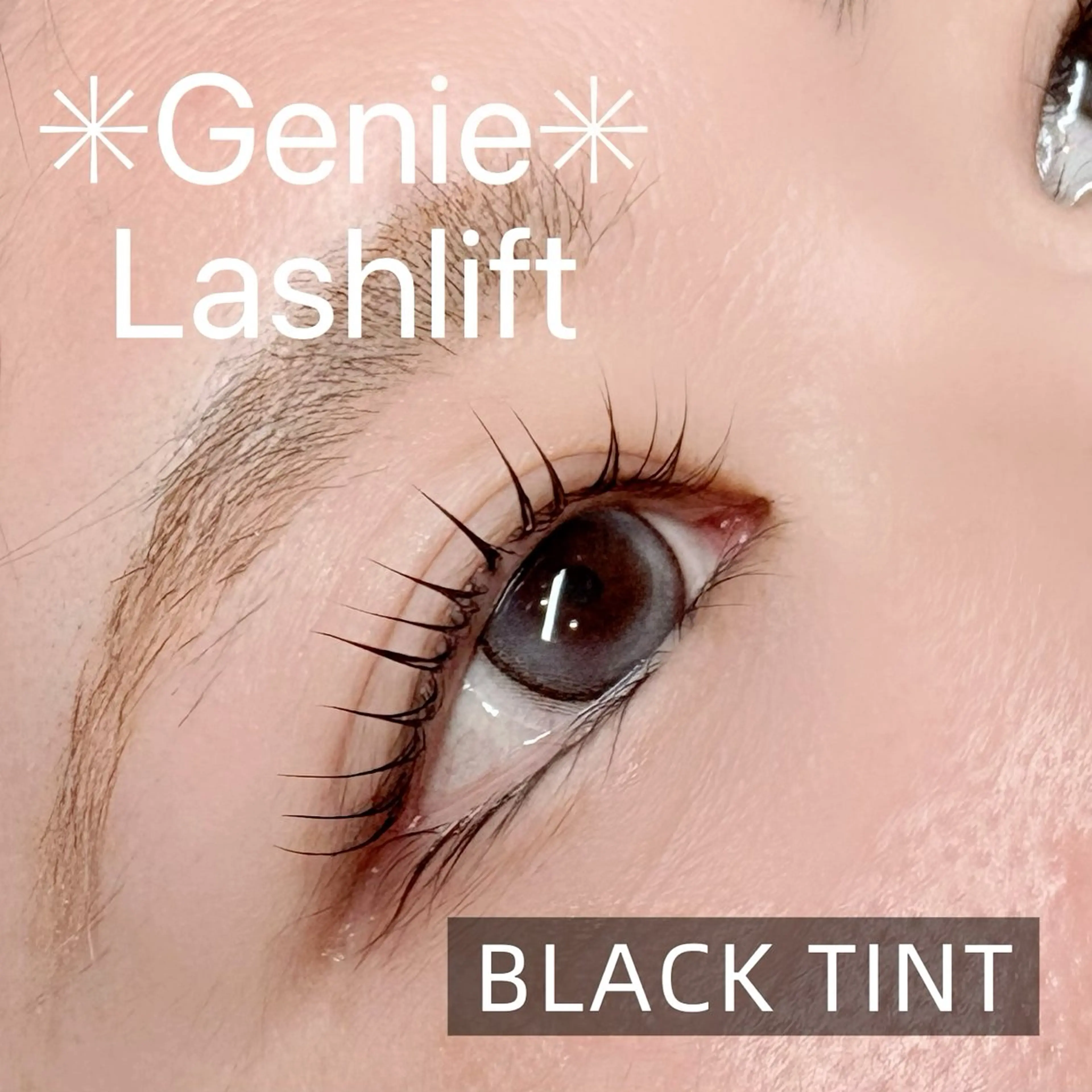 🖤マスカラパーマ・ブラックティントまつげパーマ🖤の写真