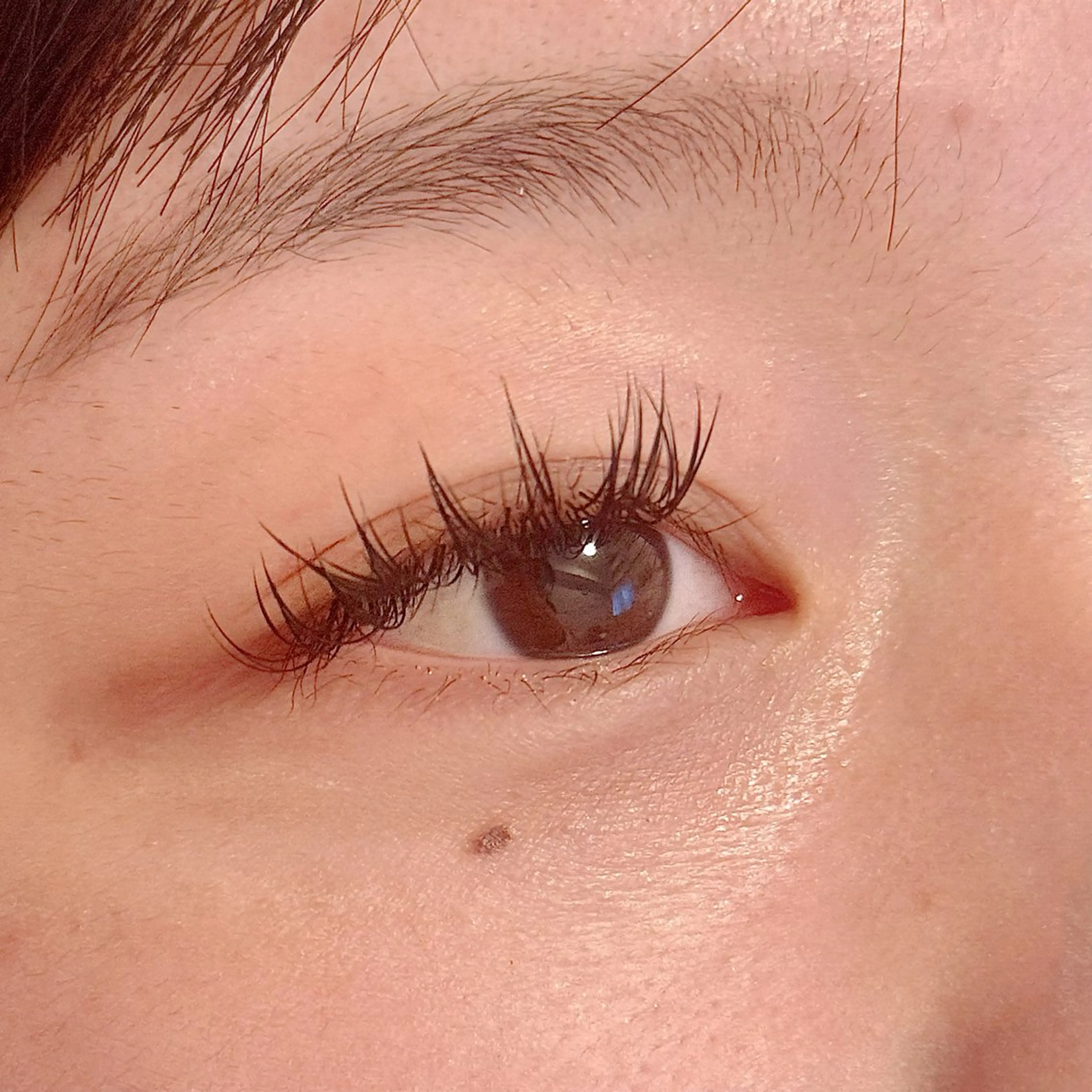 マツエク・マツパ マツエク U eのマツエク・マツパデザイン