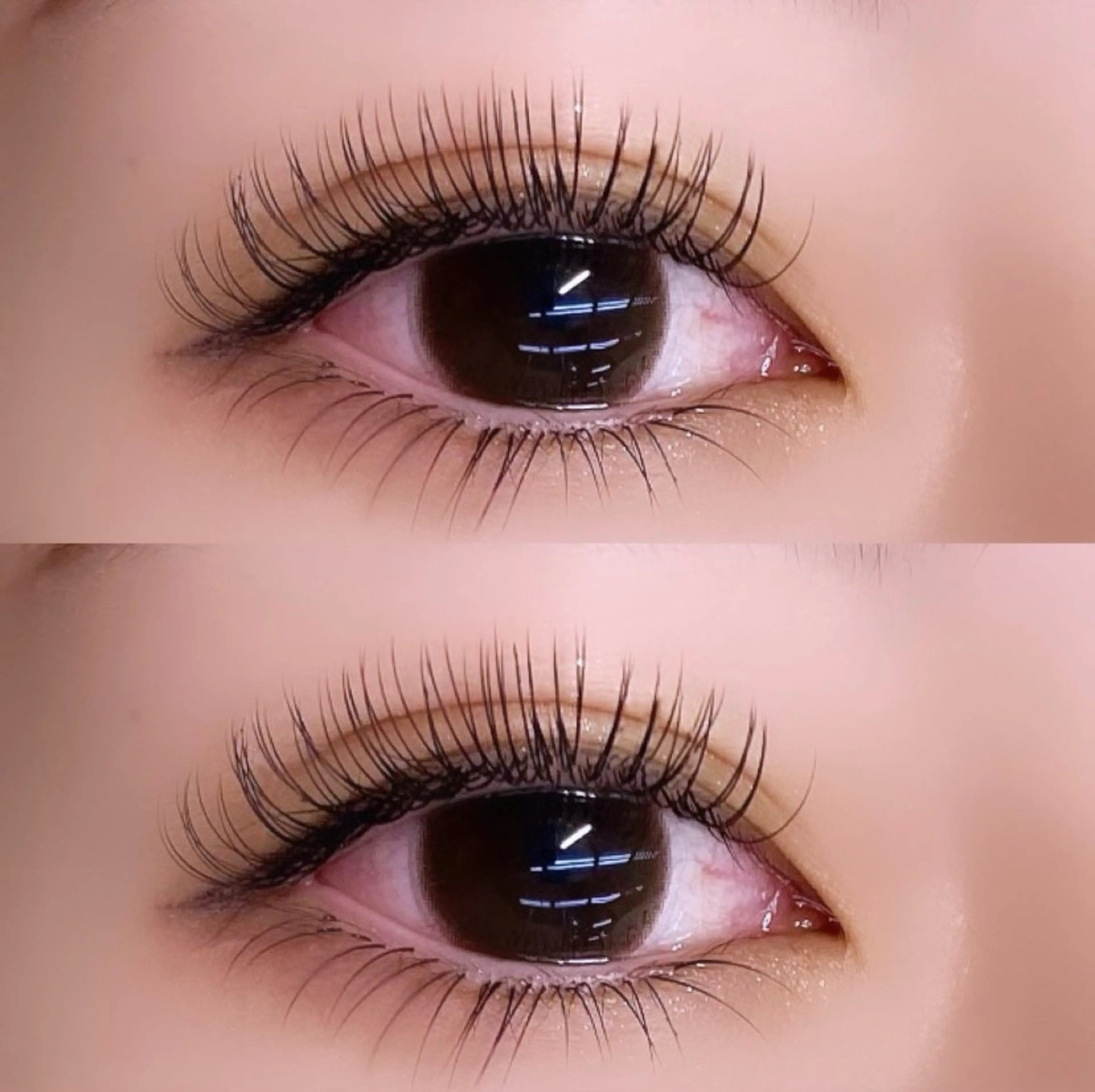 中顔面短縮💥エクステ上下(セーブル/フラット/ボリュームから選んでいただけます)の写真