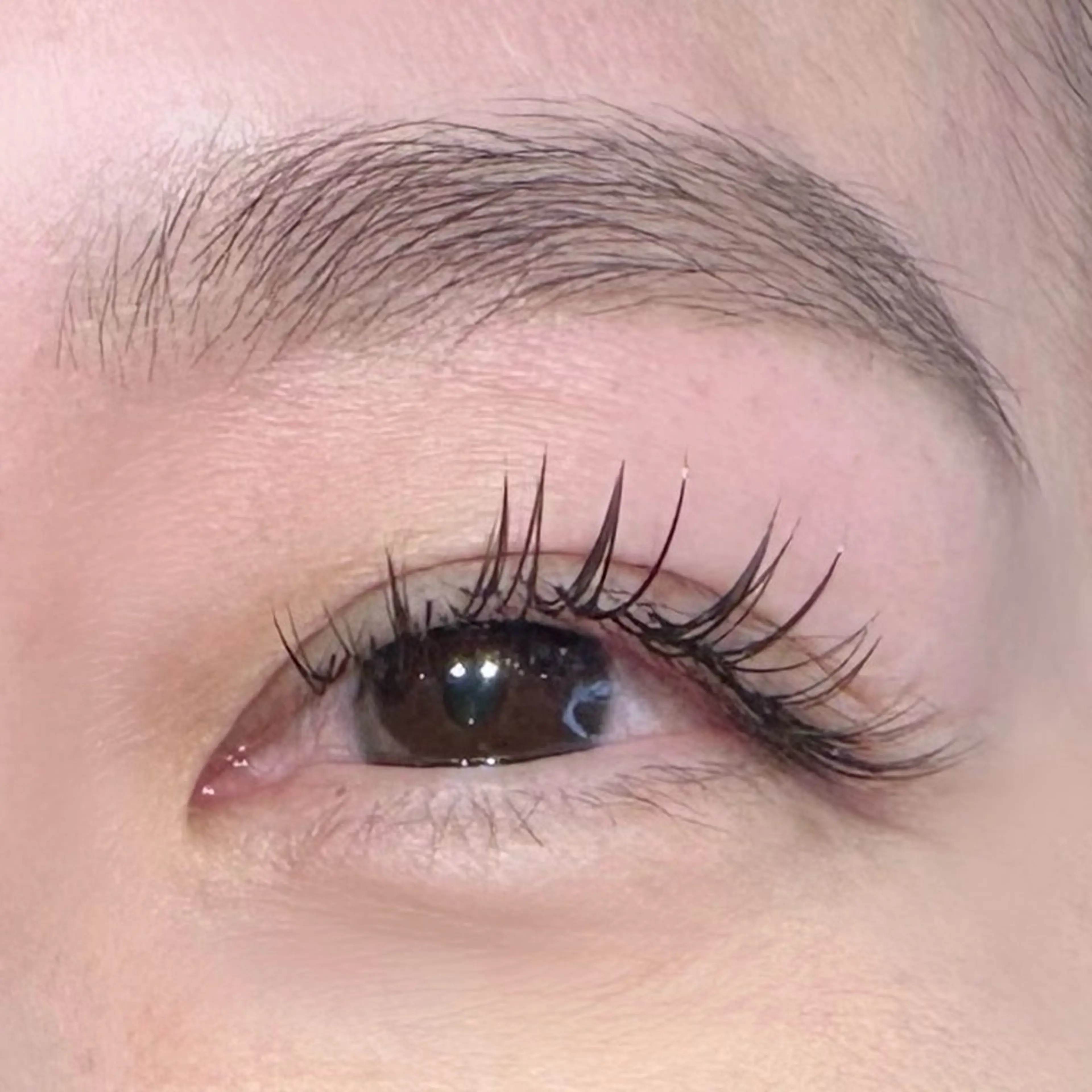 マツエク・マツパ マツエク coast meiのマツエク・マツパデザイン