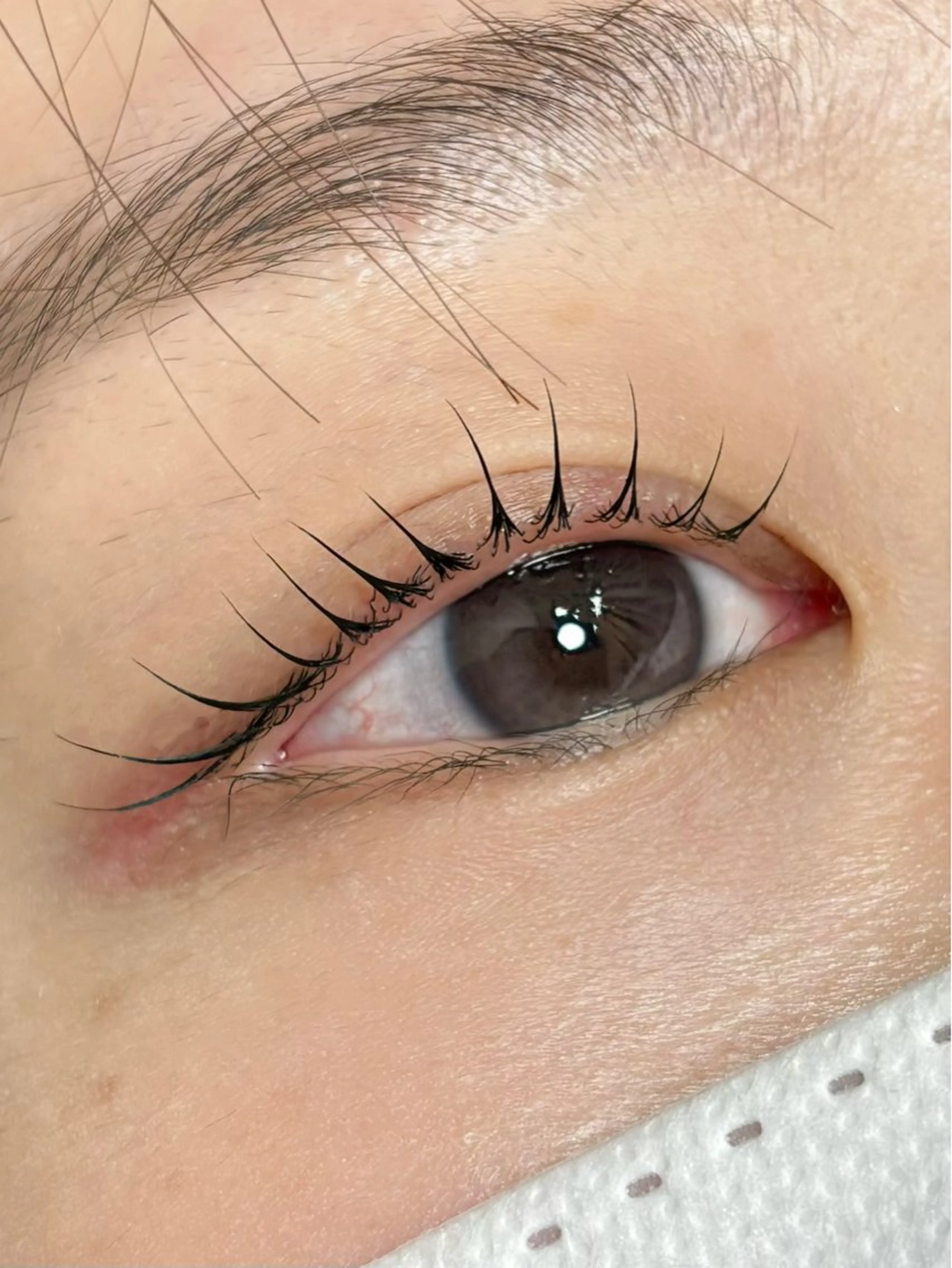 マツエク・マツパ マツパ 垢抜け眉WAX専門 ちゅるんまつげ|鎌倉の眉毛・アイブロウイメージ