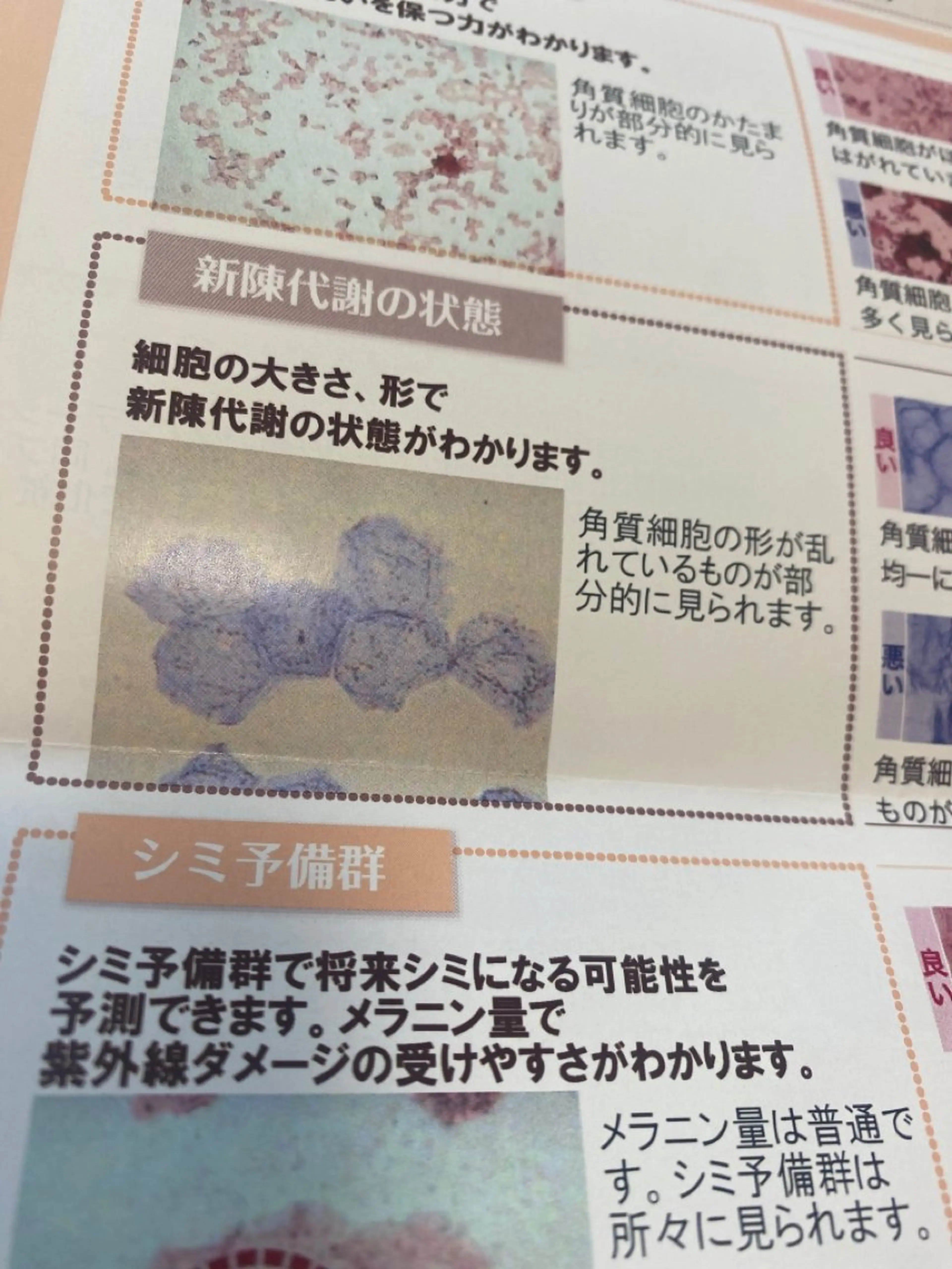 小倉 麻由のエステ・リラクイメージ