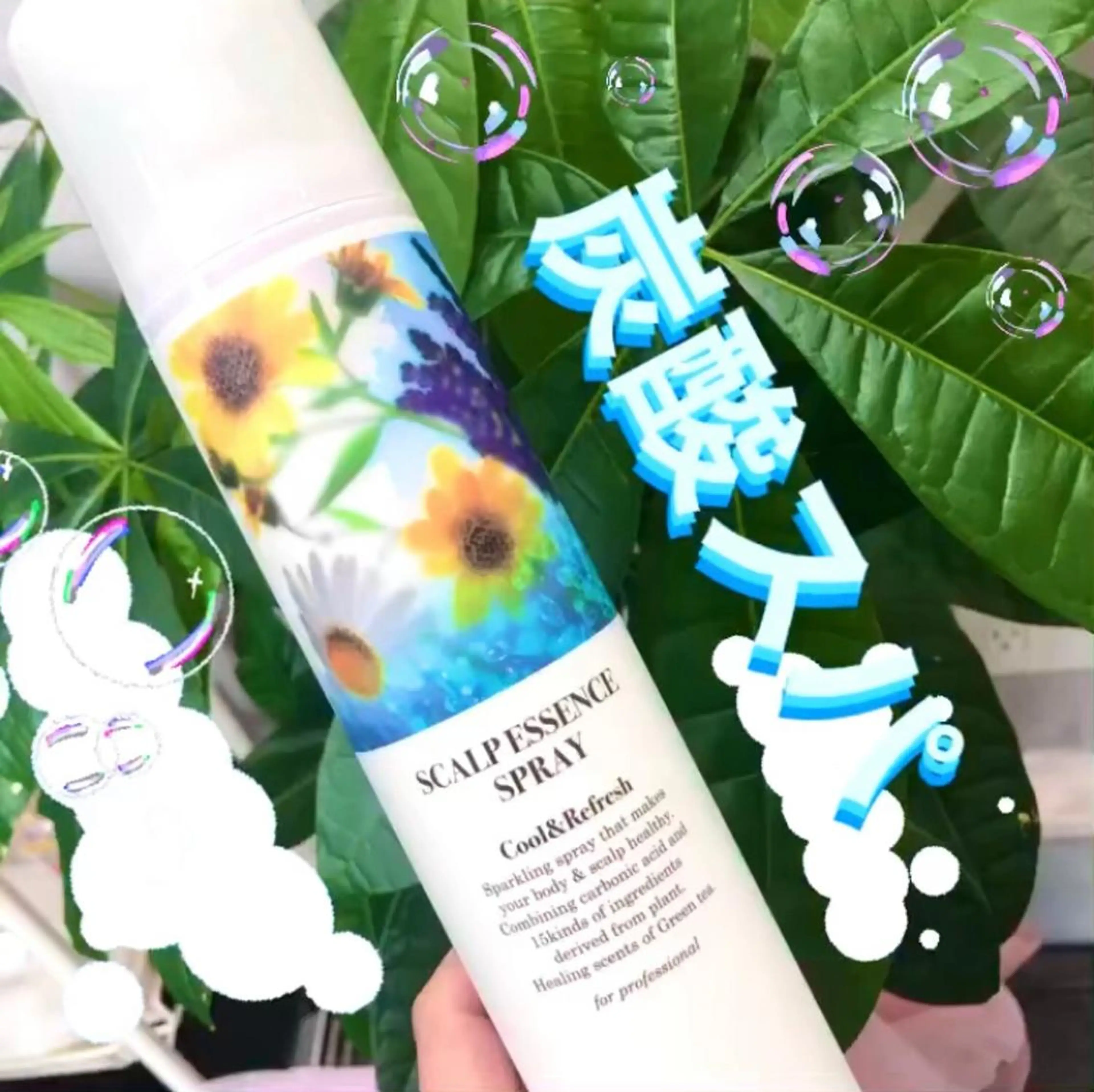 Koti sakai mayuのマツエク・マツパデザイン