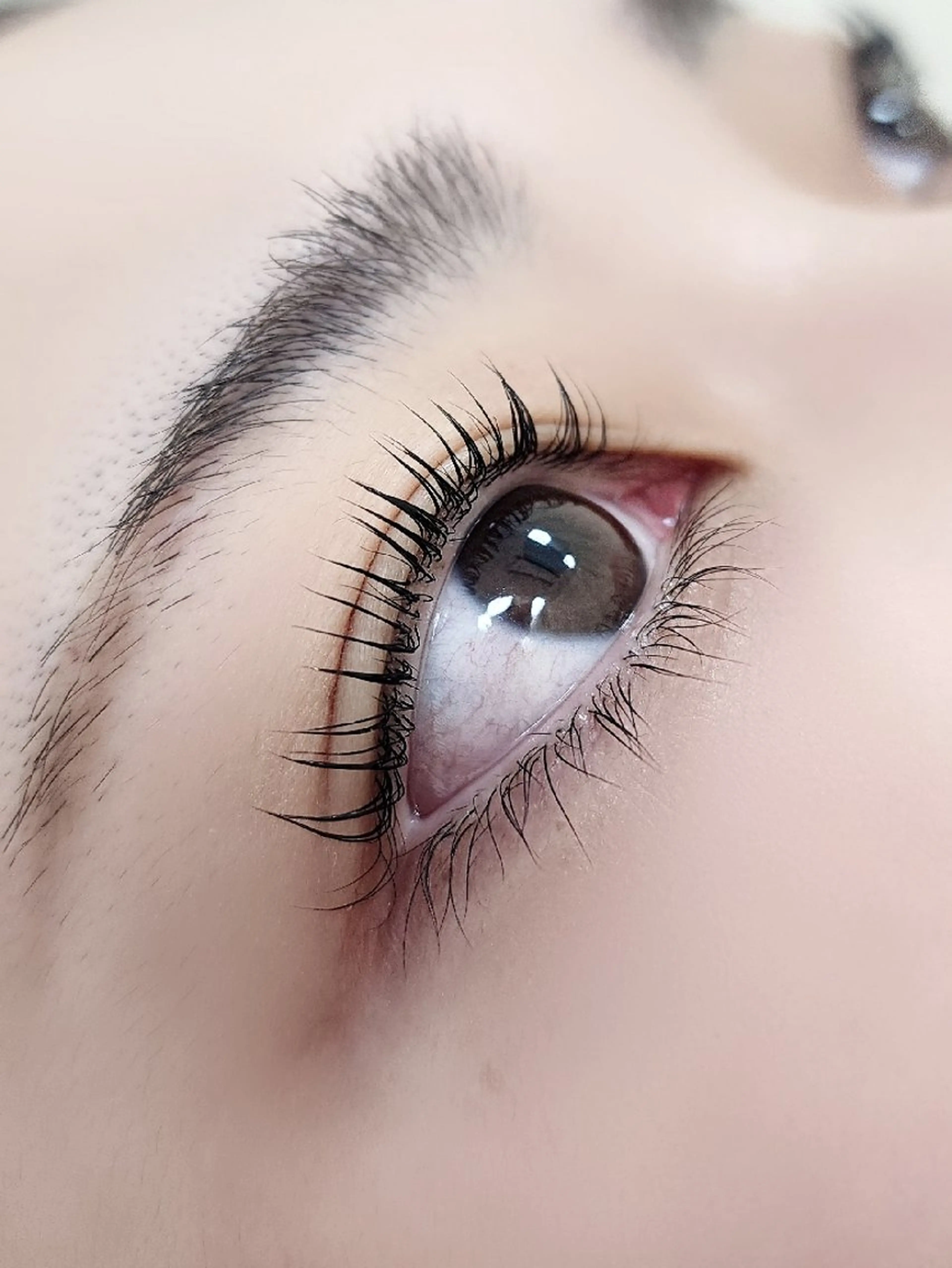 マツエク・マツパ 付け放題 バインドロック 束感まつ毛 カラーマツエク フラットラッシュ Ｍ salon アイラッシュのマツエク・マツパデザイン