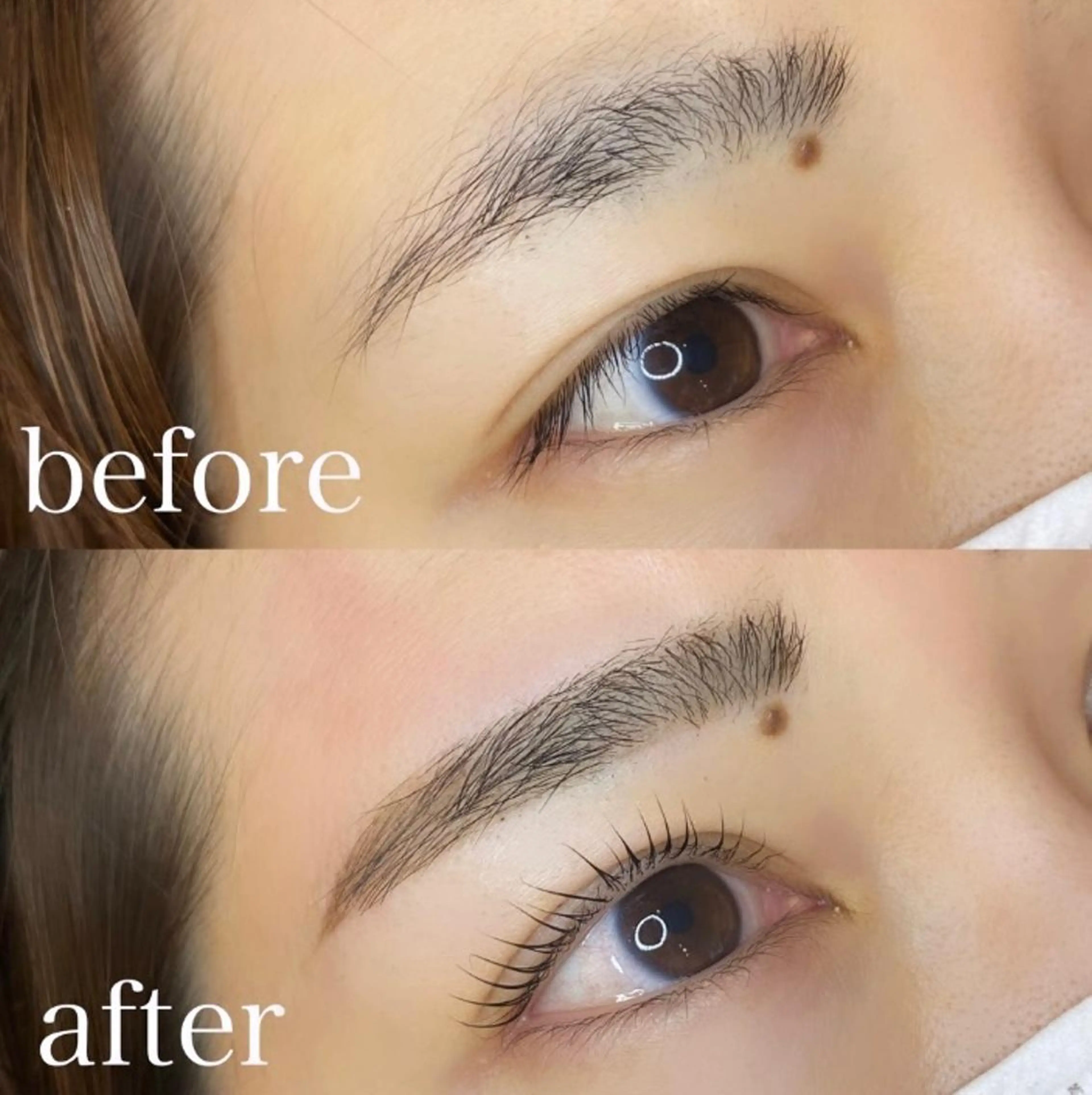 マツエク・マツパ アイブロウ 眉毛ワックス脱毛 まつげパーマ マツパ ELLY 🪩横浜のマツエク・マツパデザイン