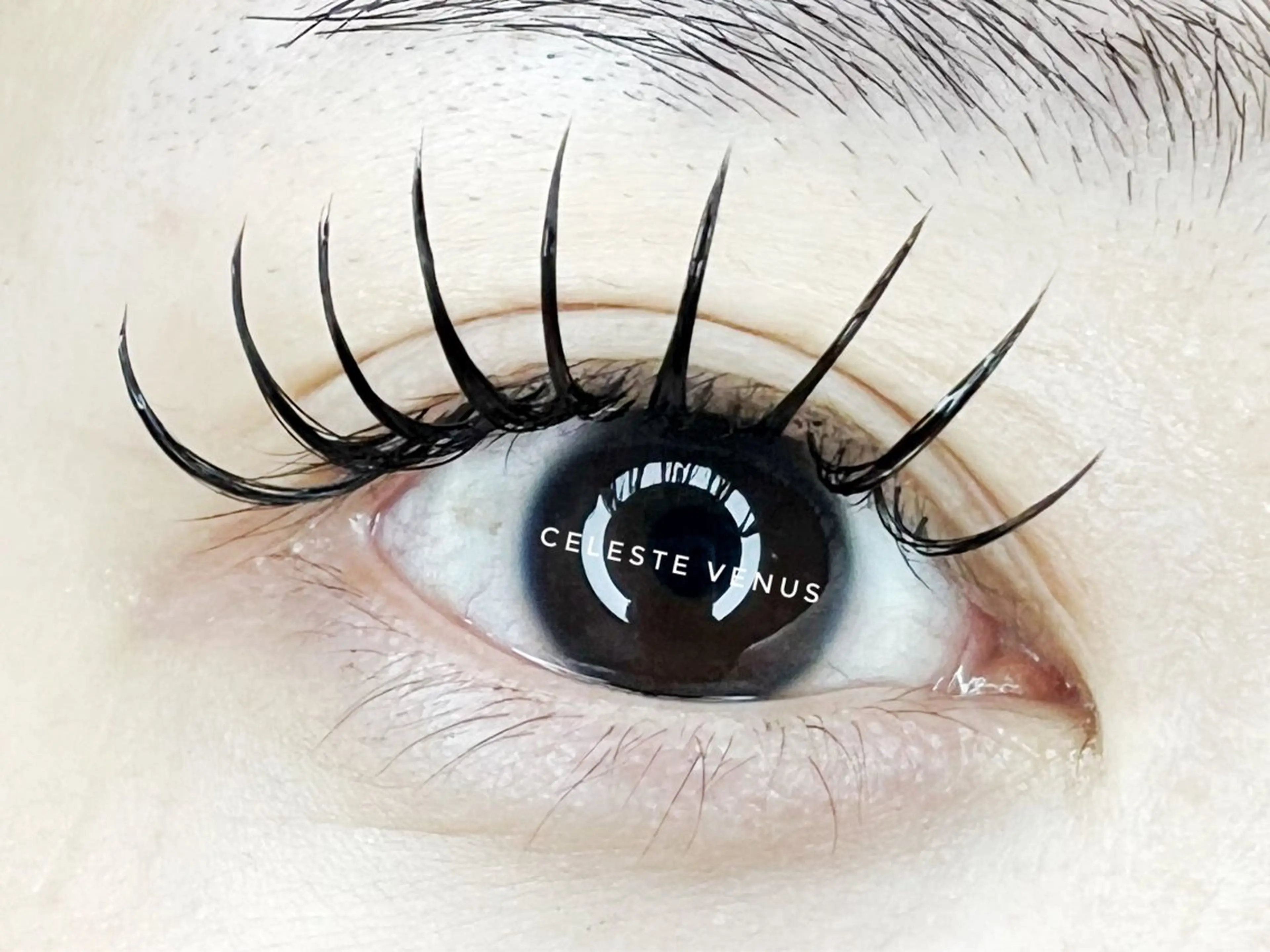 🫧‪バインドロック120束  オフ・コーティング込の写真