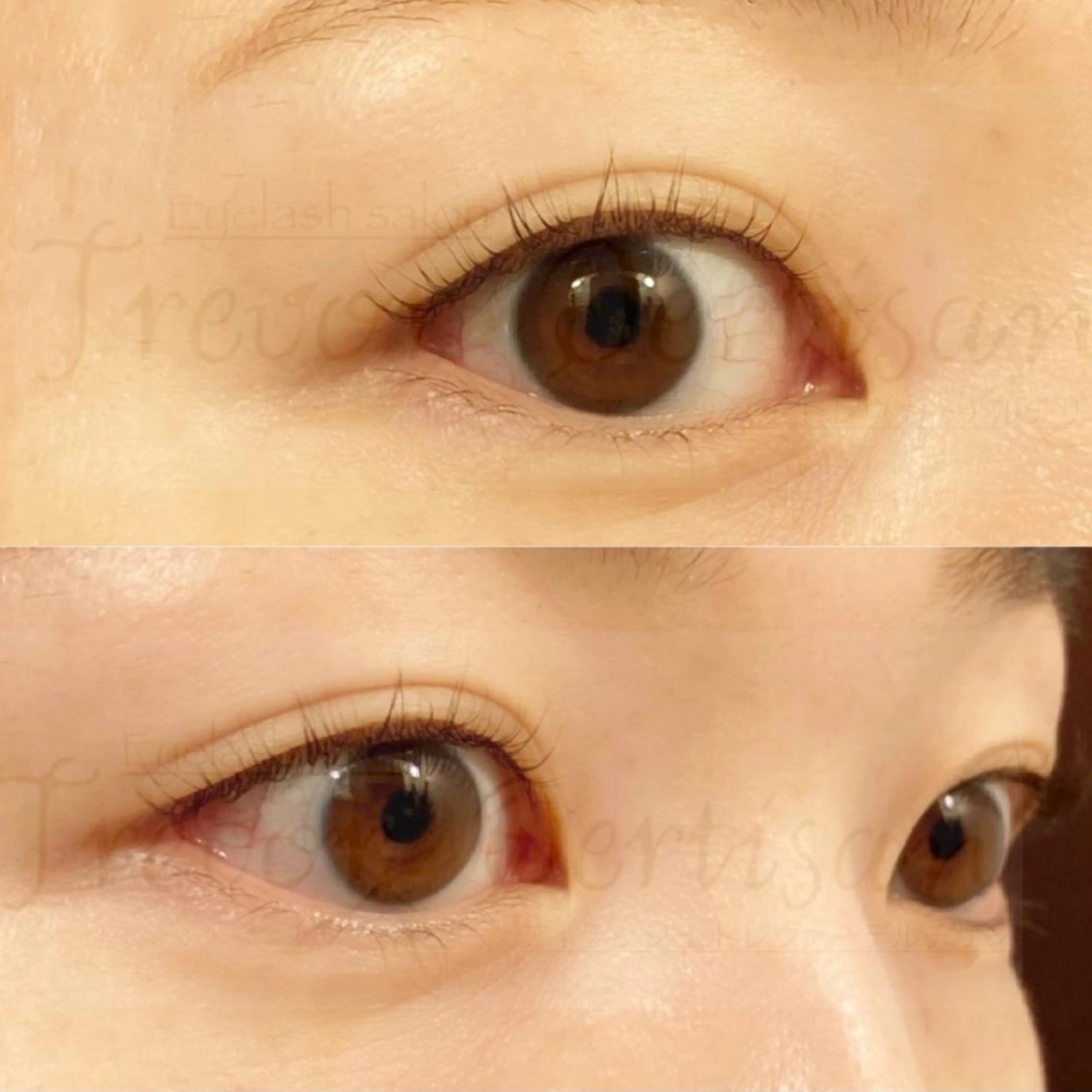 マツエク・マツパ マツパ トレヴァーデルチザン inuiのマツエク・マツパデザイン