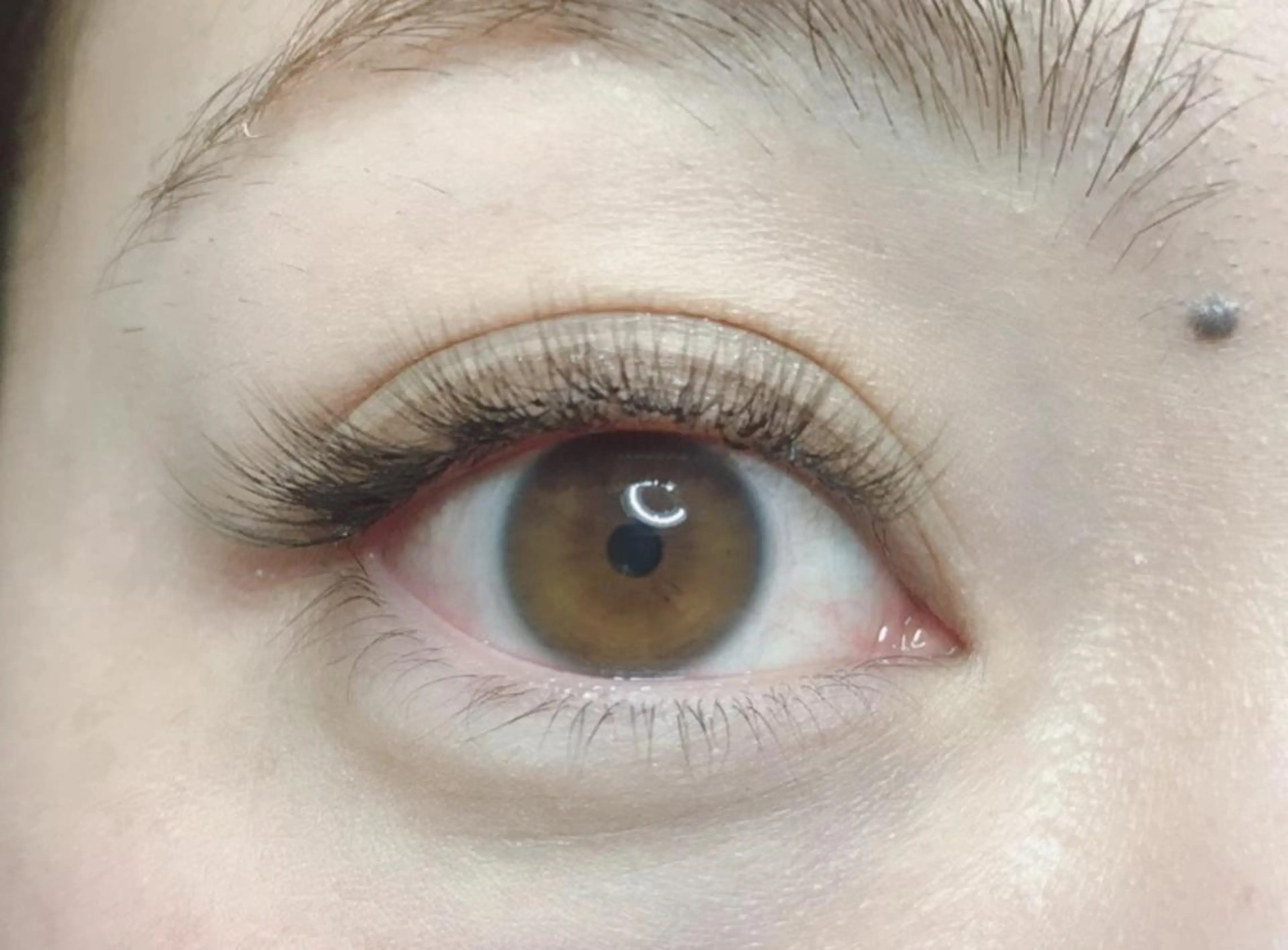 マツエク・マツパ ｍｉｐｐｙ 🪽のマツエク・マツパデザイン