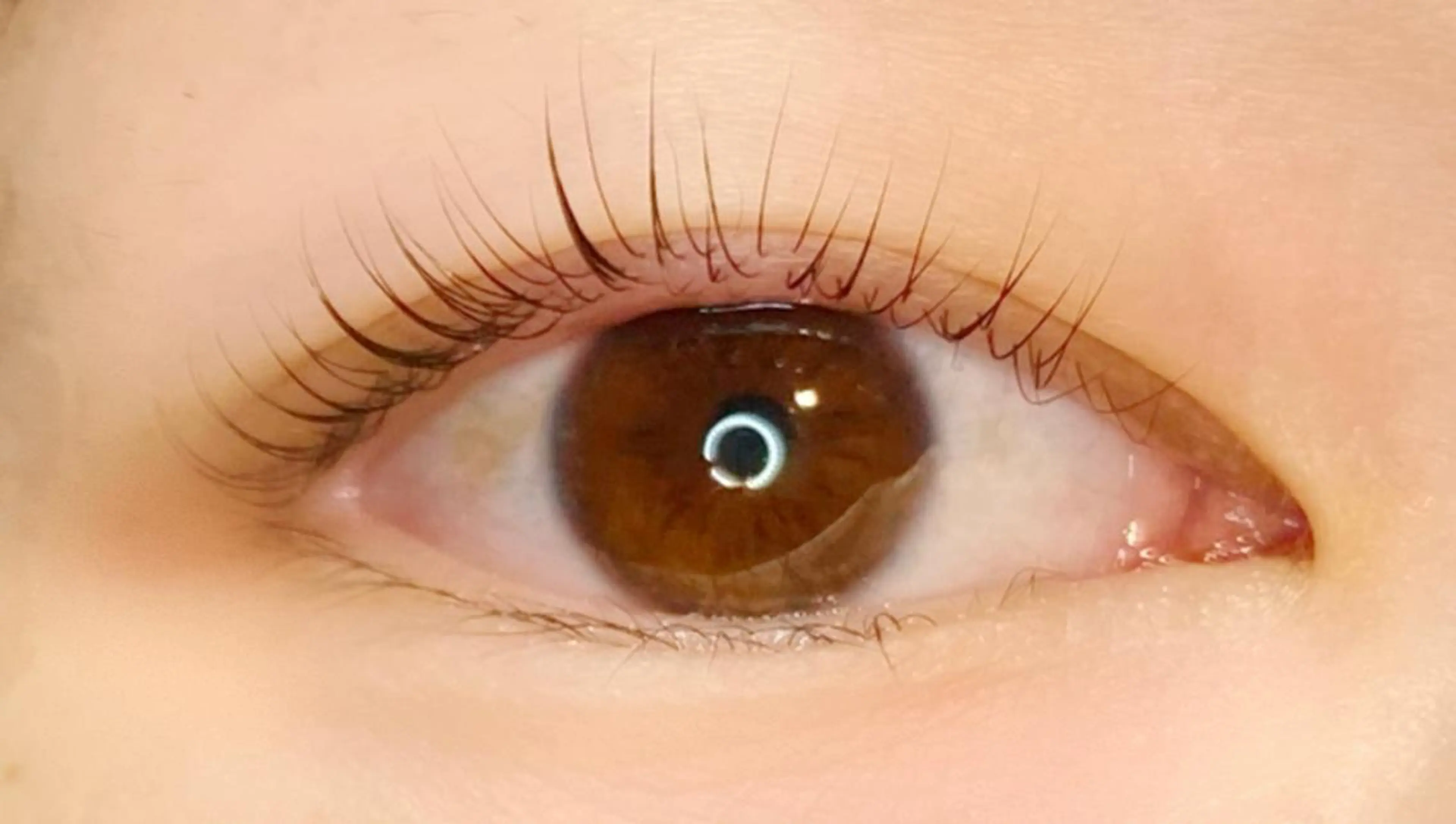 マツエク・マツパ 齋藤 春菜のマツエク・マツパデザイン