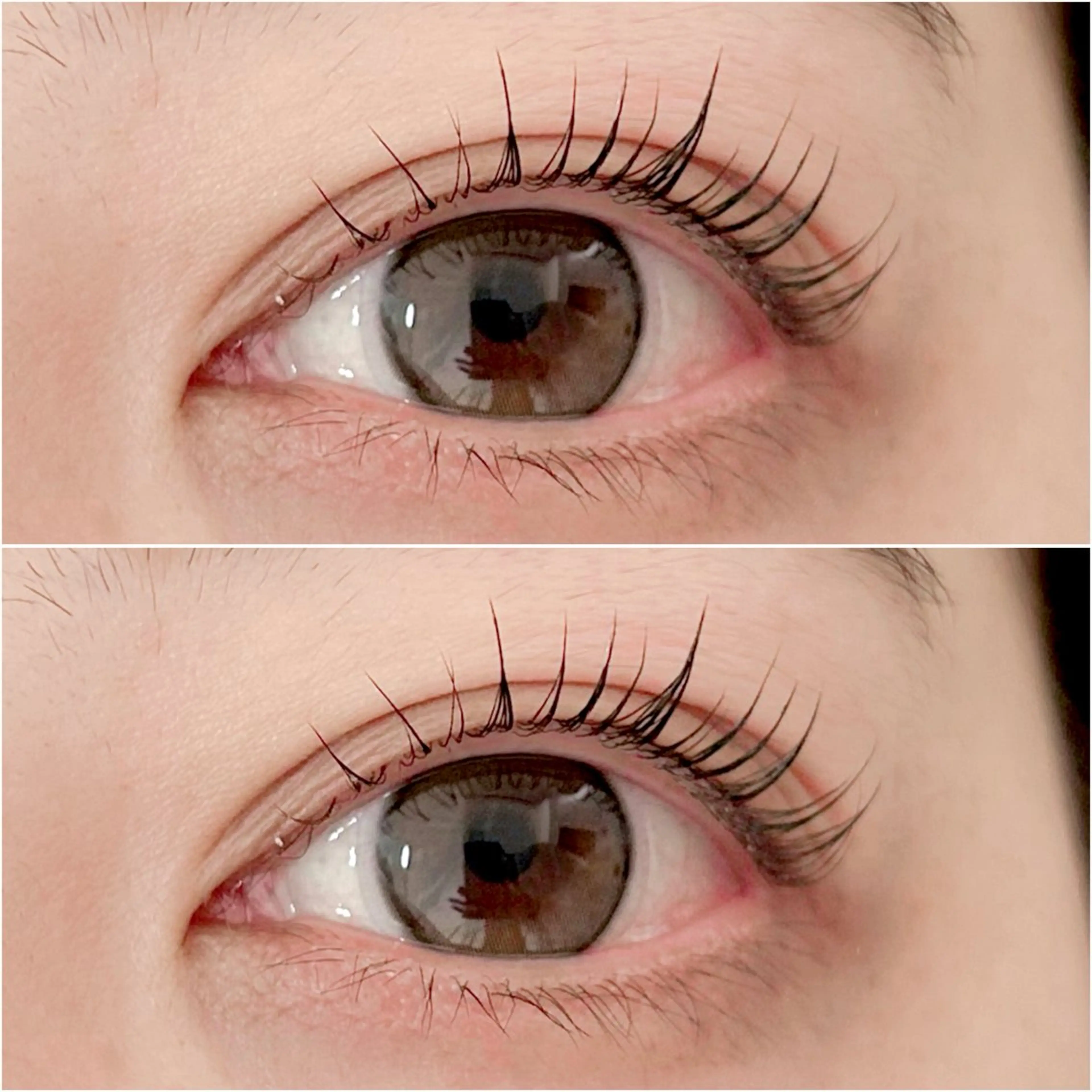 マツエク・マツパ パリジェンヌラッシュリフト Shugar by ecolua所属・🤍 南浦和徒歩5分 Asuka 💚のマツエク・マツパデザイン