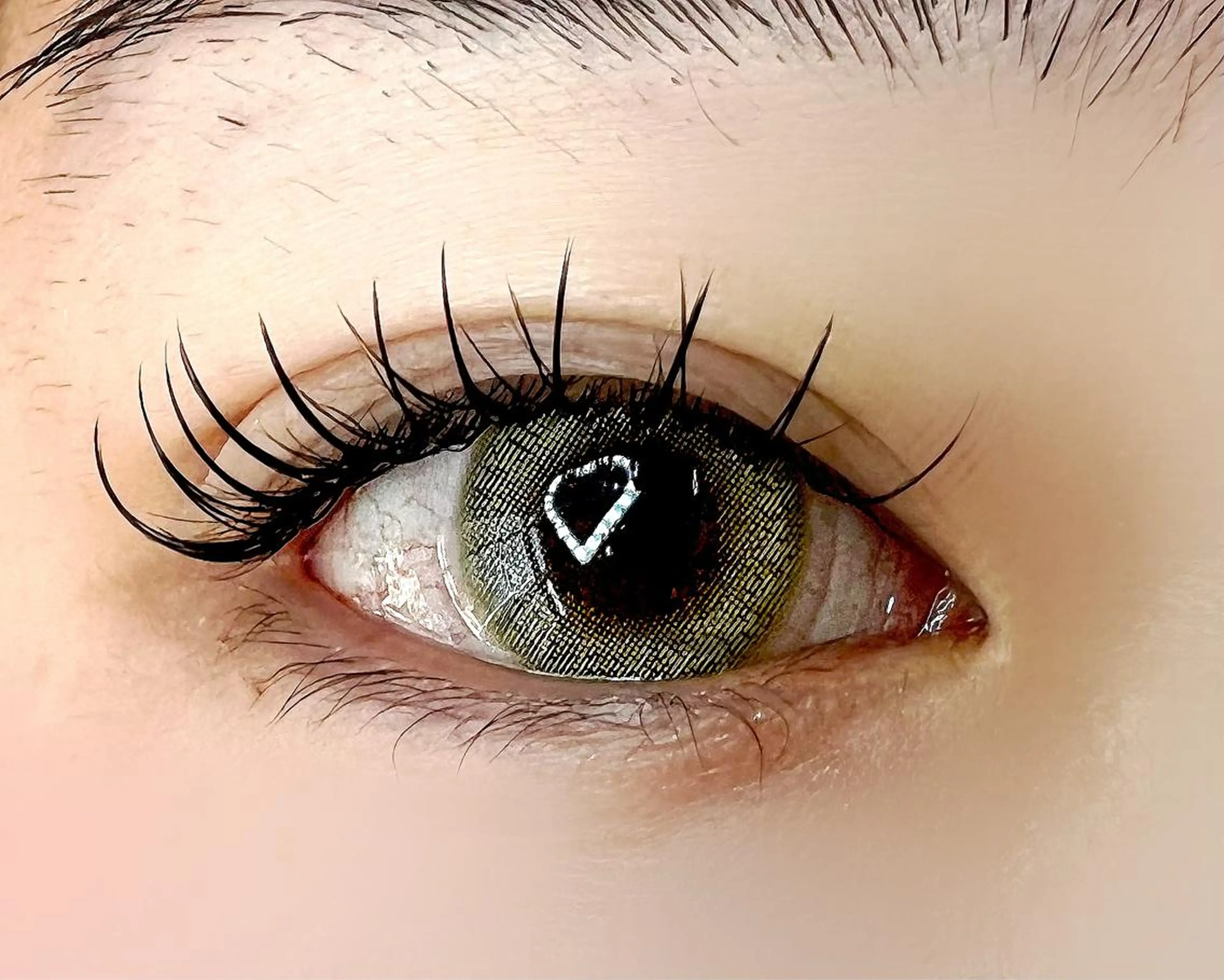 マツエク・マツパ Celeste Venus所属・🧸Celeste Venusのマツエク・マツパデザイン