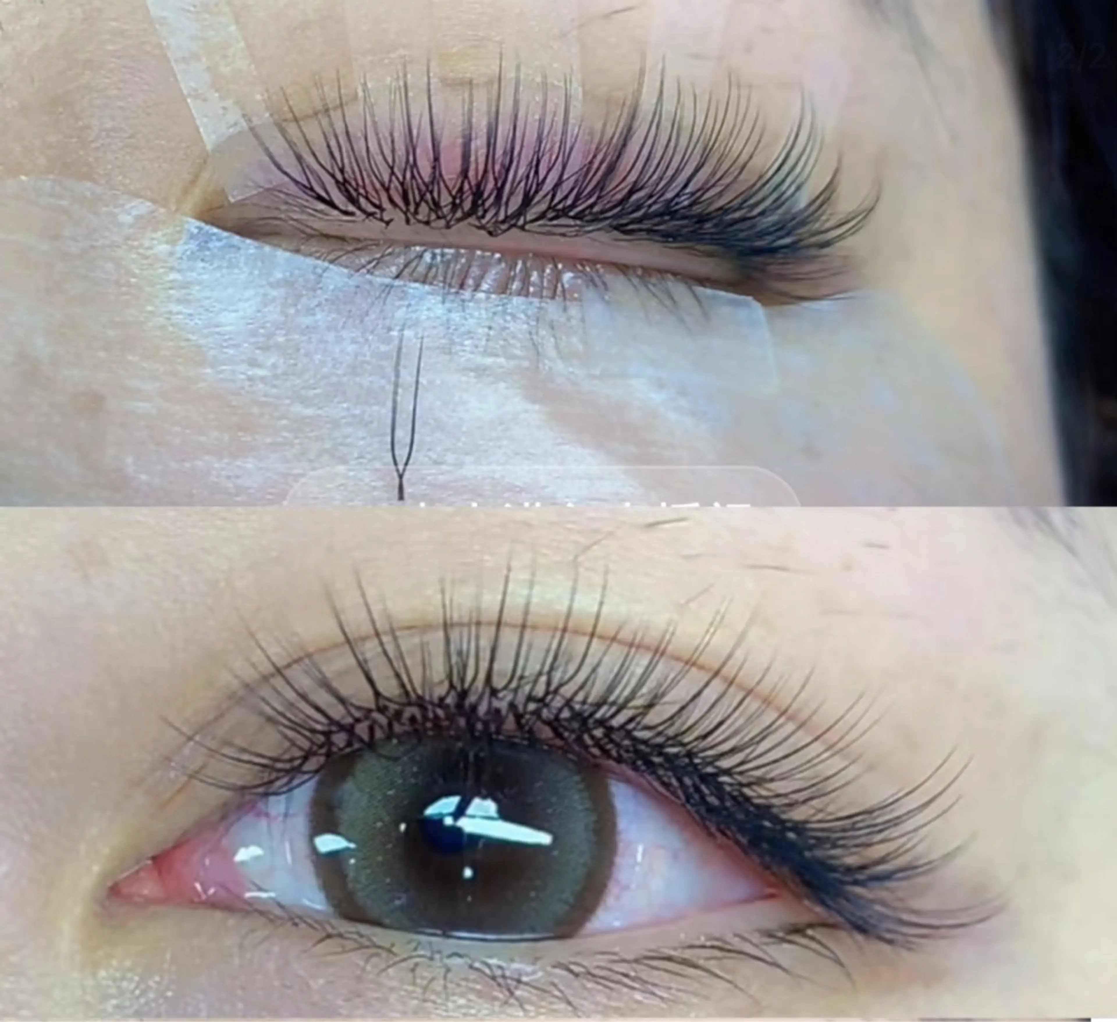 マツエク・マツパ マツエク 🎀MIYUKI Salon🎀のネイルデザイン