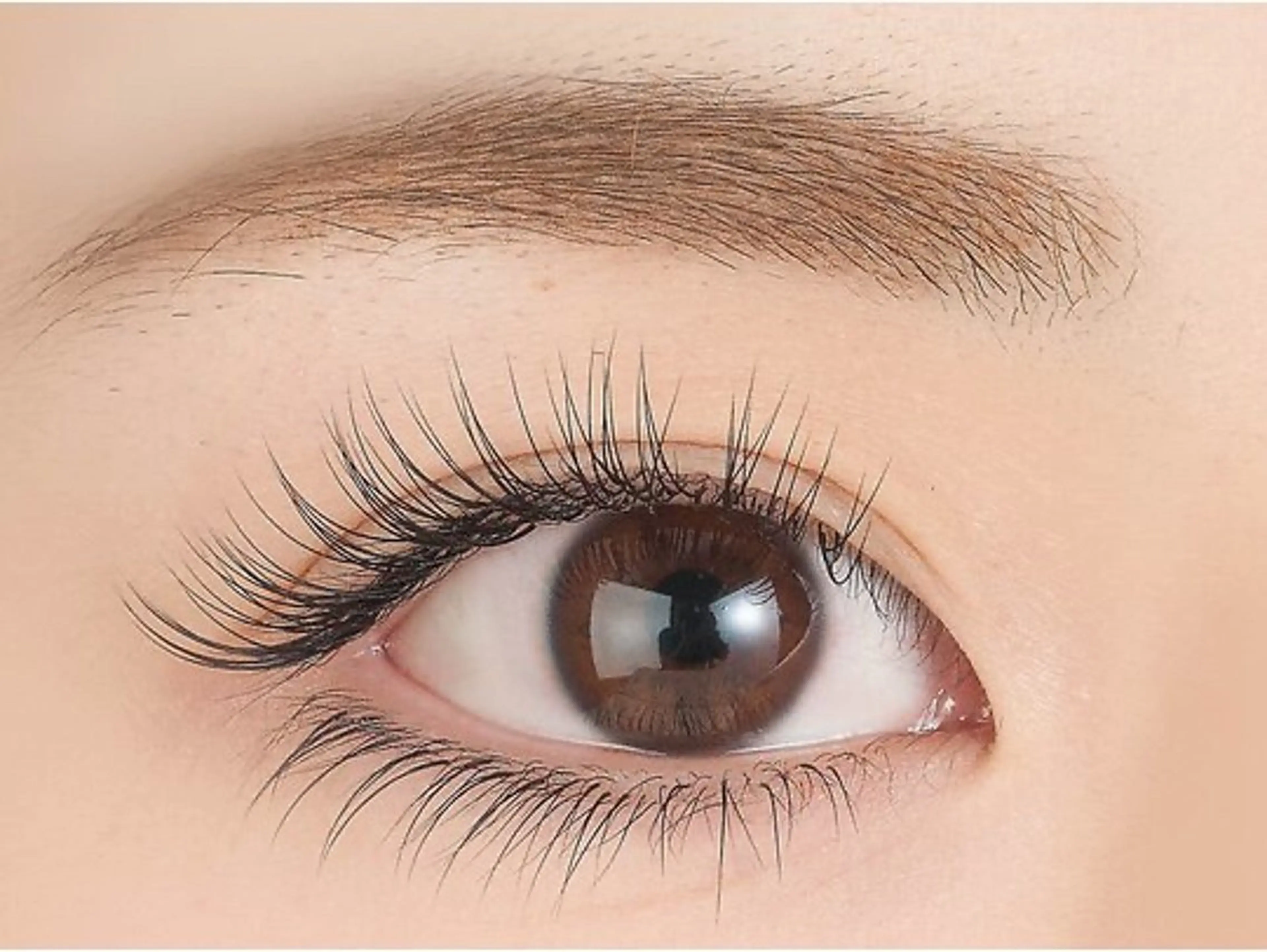 マツエク・マツパ MAQUIA弘前店 工藤のマツエク・マツパデザイン