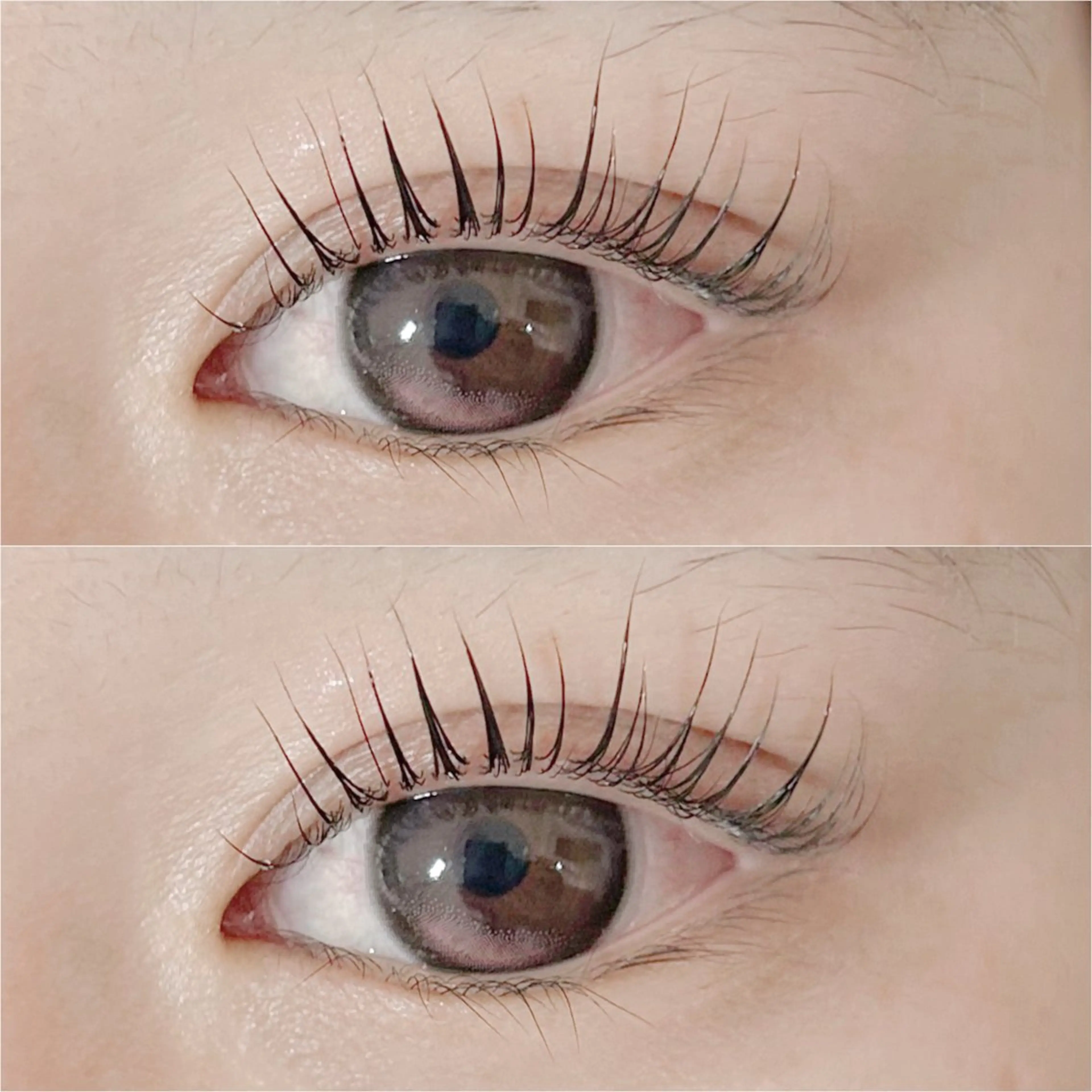 🧡🦁当日限定 選べるパリジェンヌラッシュリフトorまつげパーマ コーティング付き🦁🧡¥3800の写真