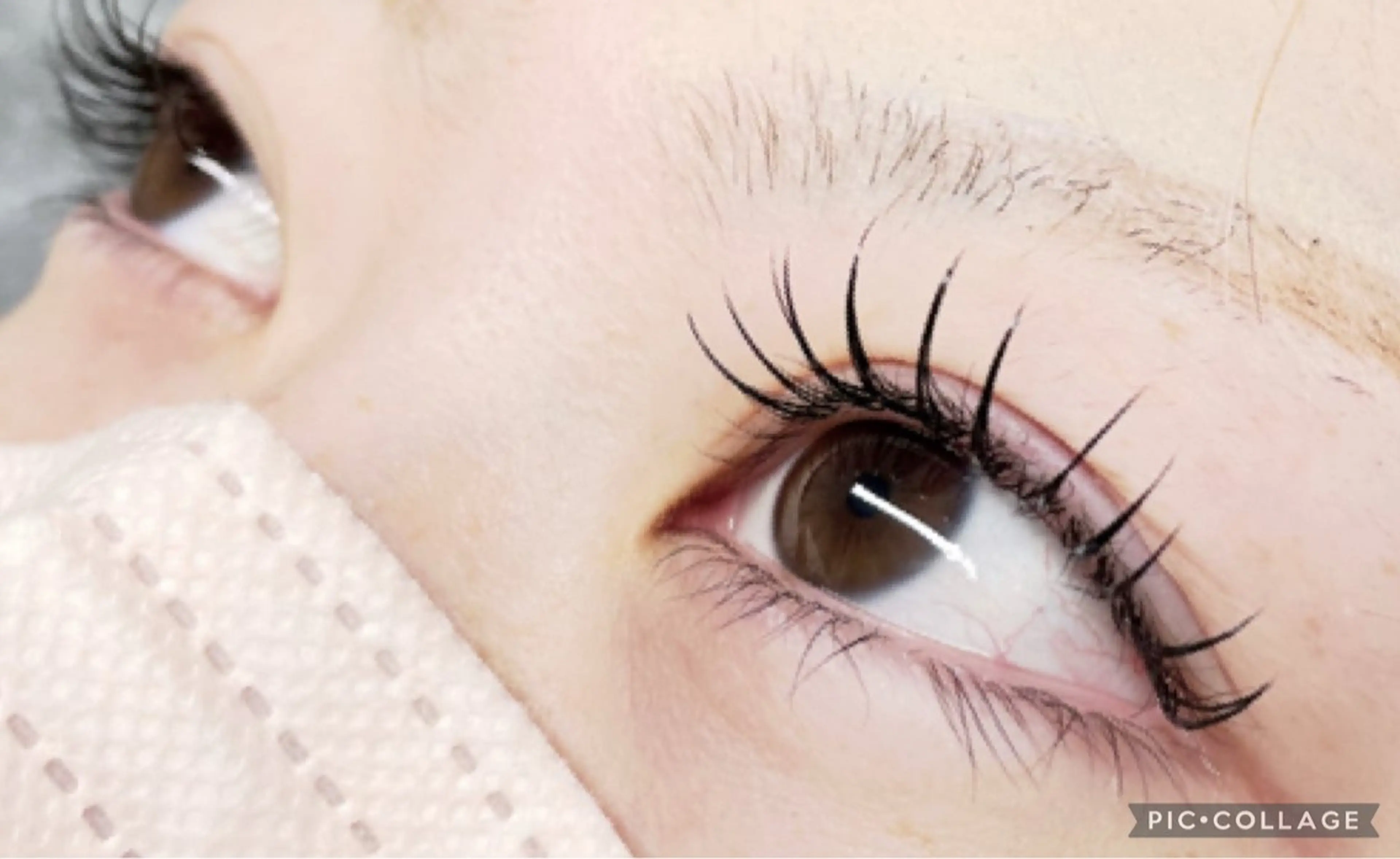 LEDマツエク100本 アイシャンプー&トリートメント&コーティング込みの写真