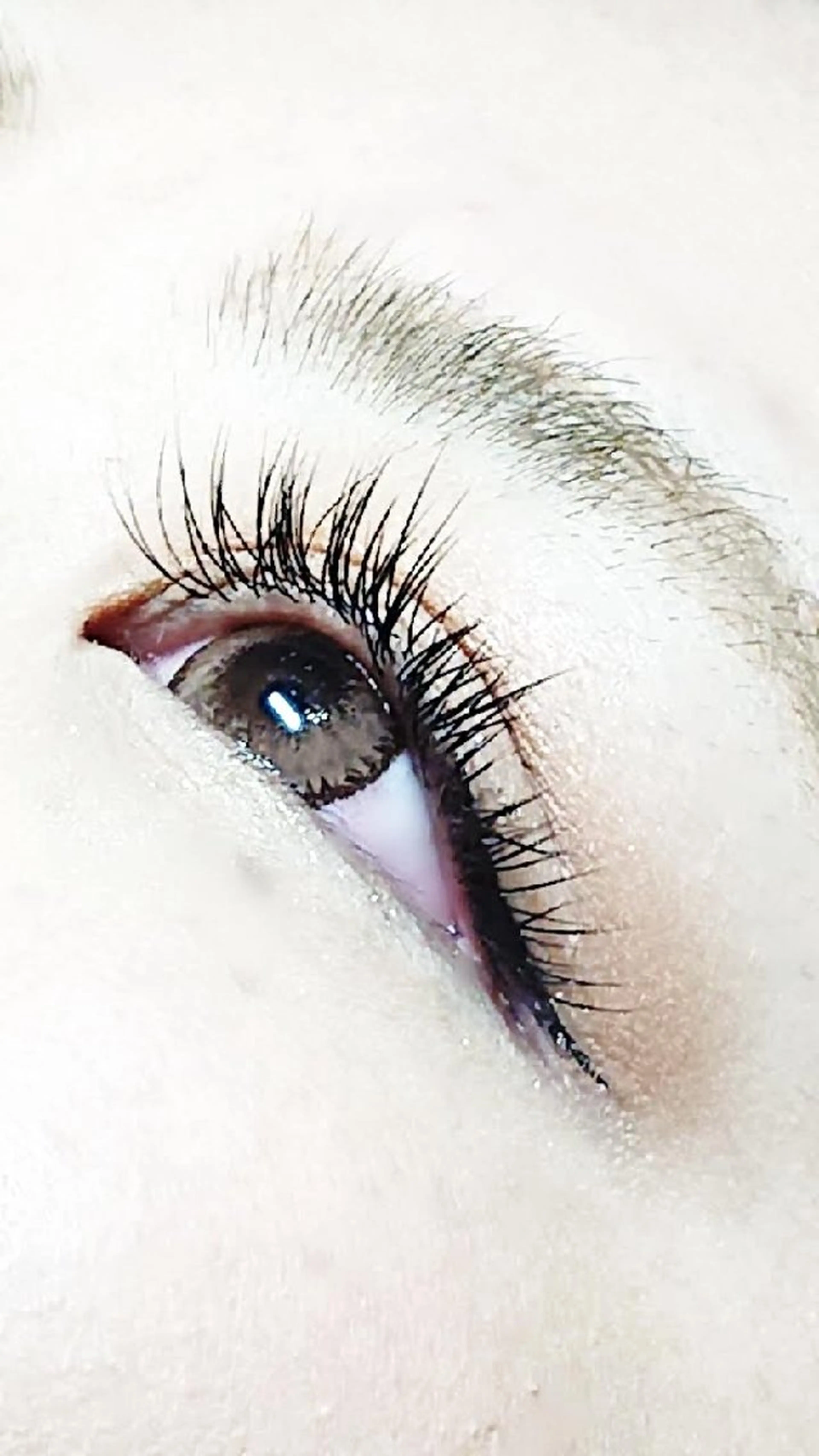 《LEDフラットラッシュ160本/片目80本》🖤10450円→8250円/オフ代別途の写真