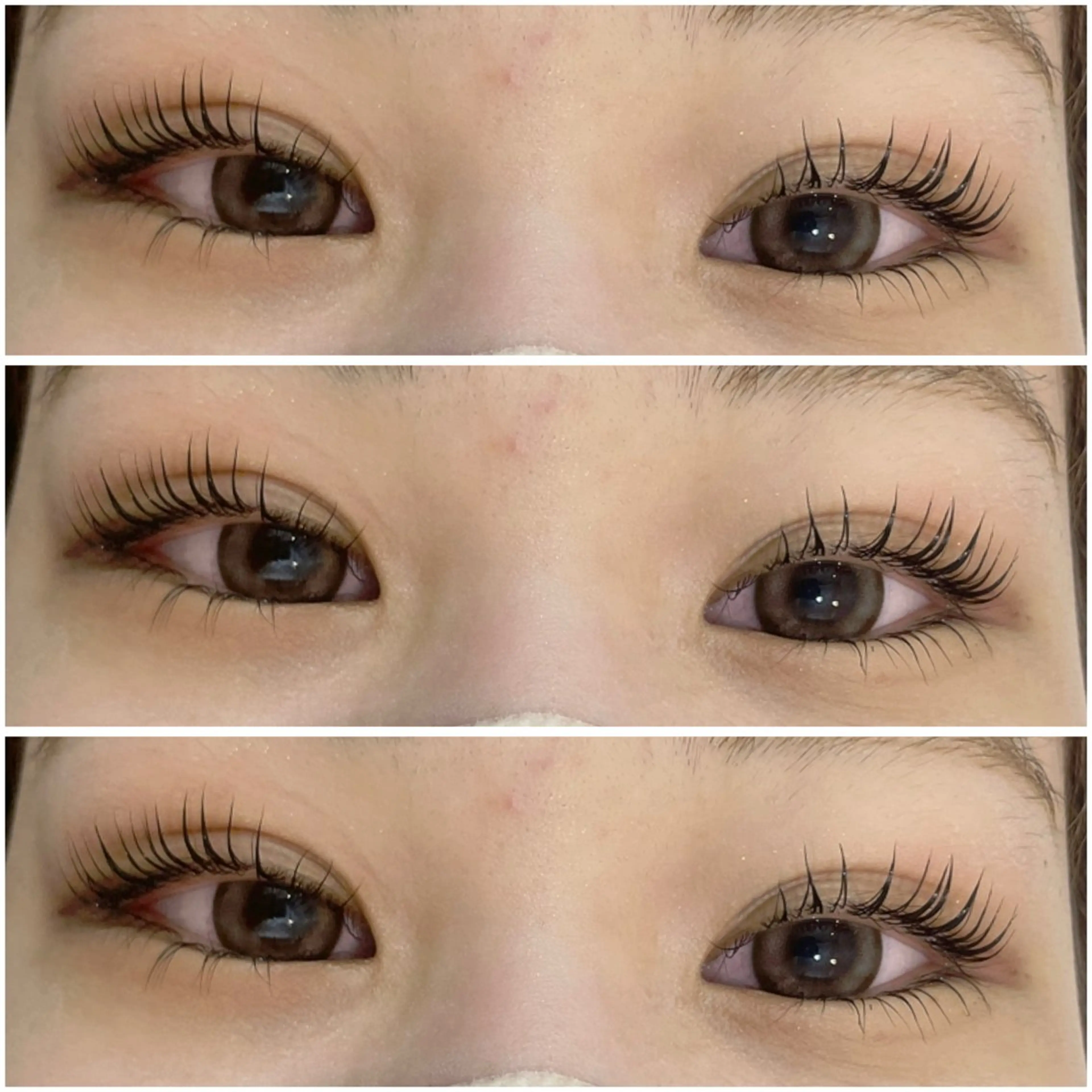 まつ毛パーマ上下🫧¥7,150の写真