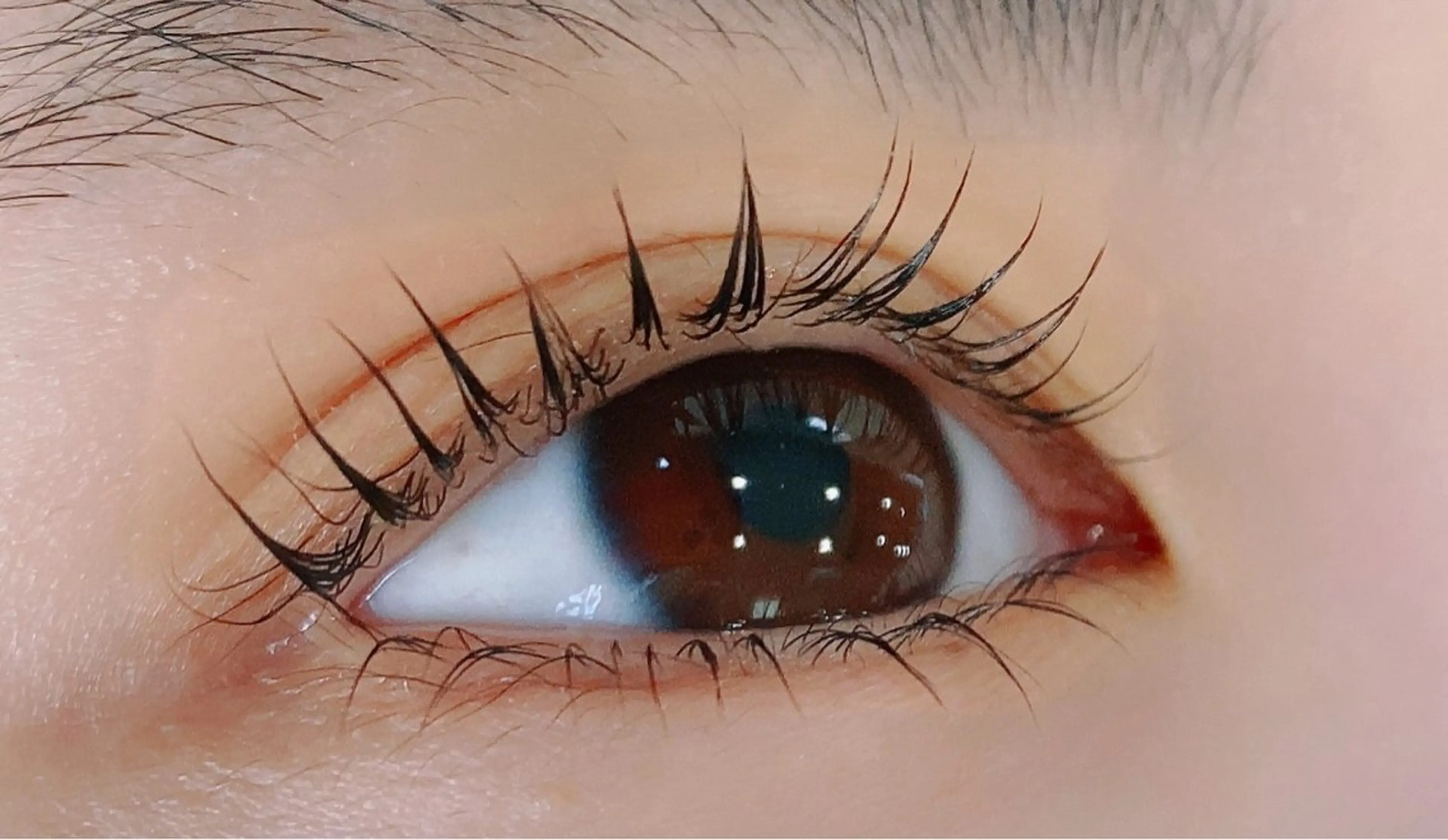 【新規様限定】選べる！✨まつ毛パーマorラッシュリフト（上下）の写真