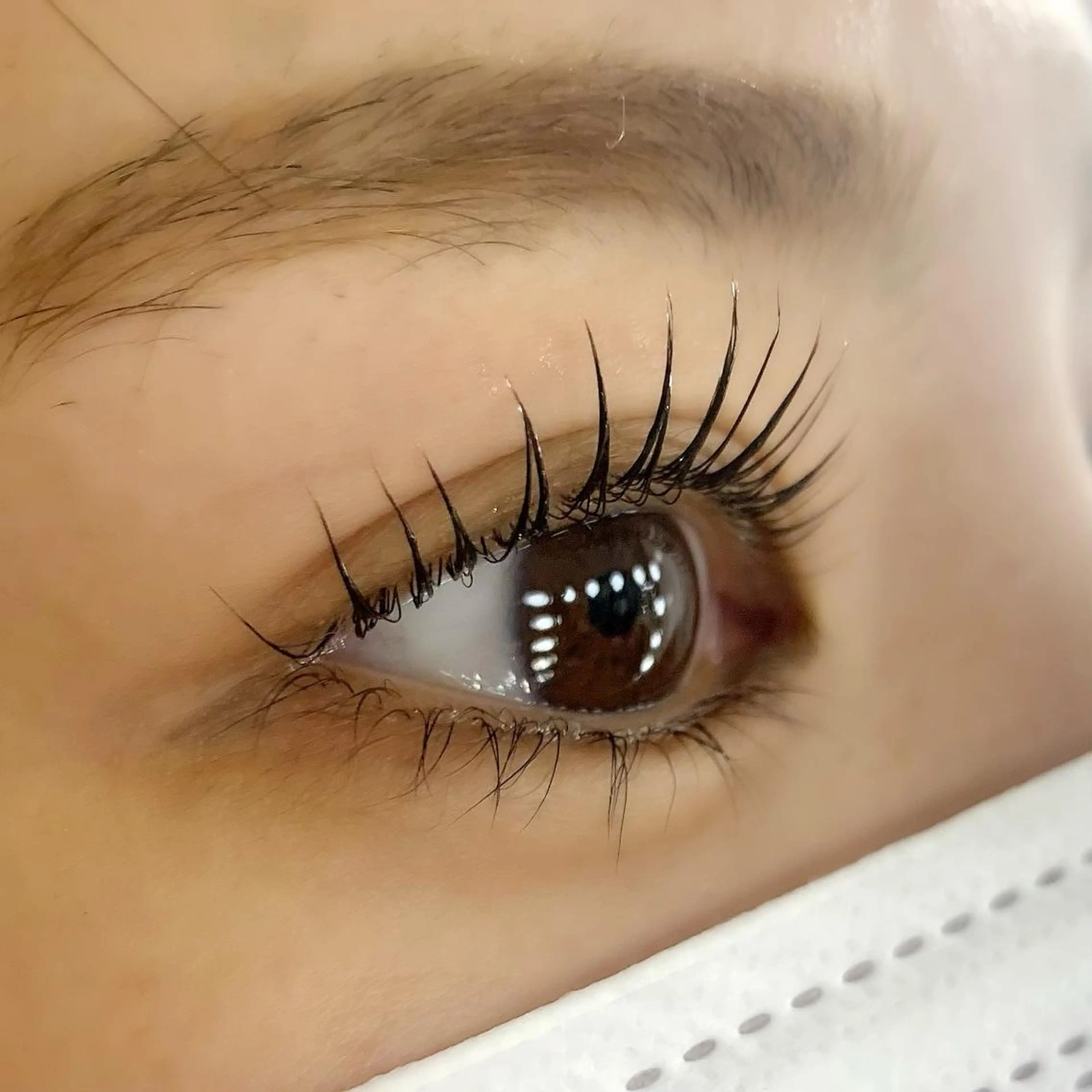 マツエク・マツパ ケラチンラッシュリフト パリジェンヌラッシュリフト Celeste Venus所属・🧸Celeste Venusのマツエク・マツパデザイン