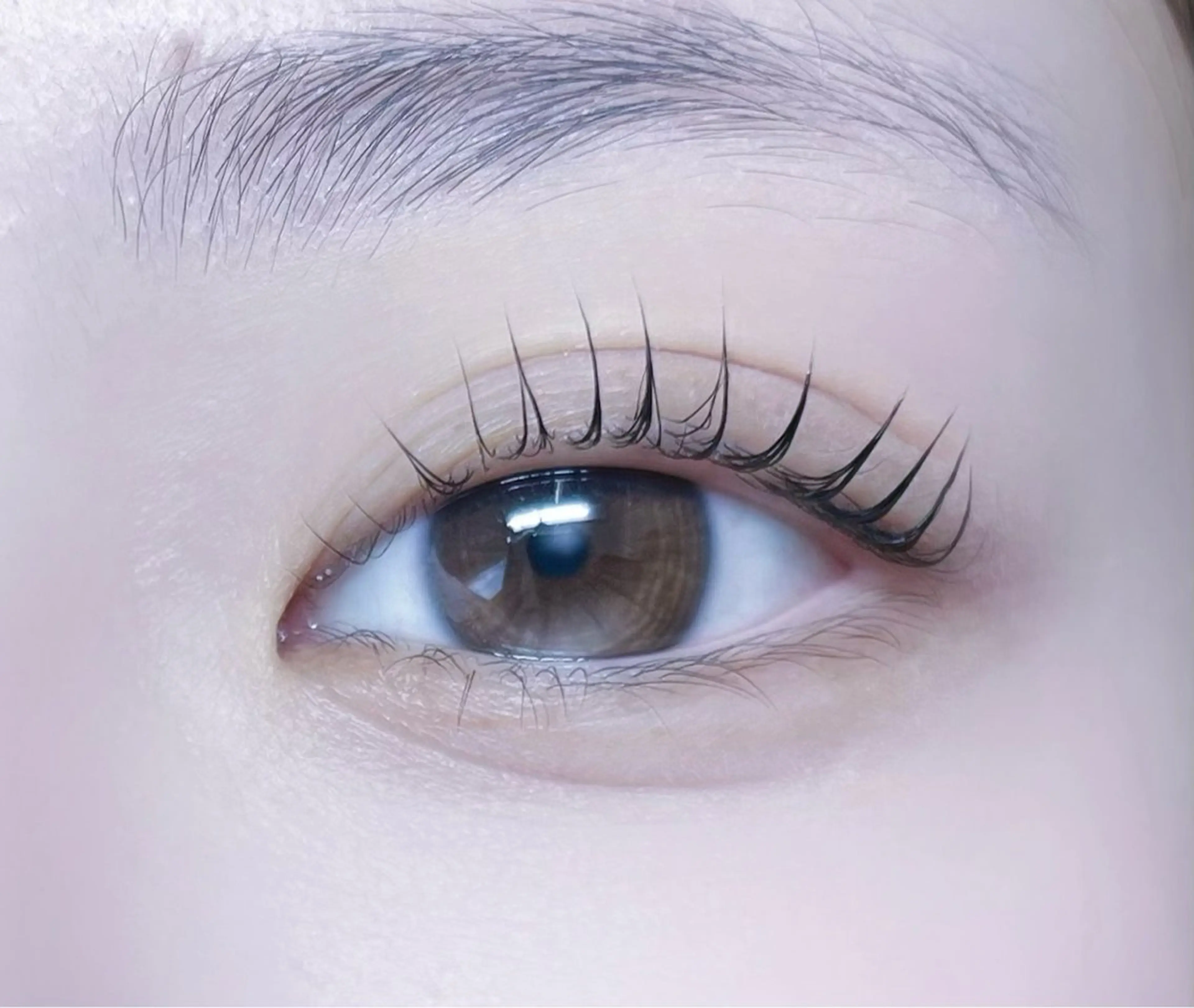 マツエク・マツパ Lカール ナチュラル Moe🤍Moon Doll Eyeのマツエク・マツパデザイン