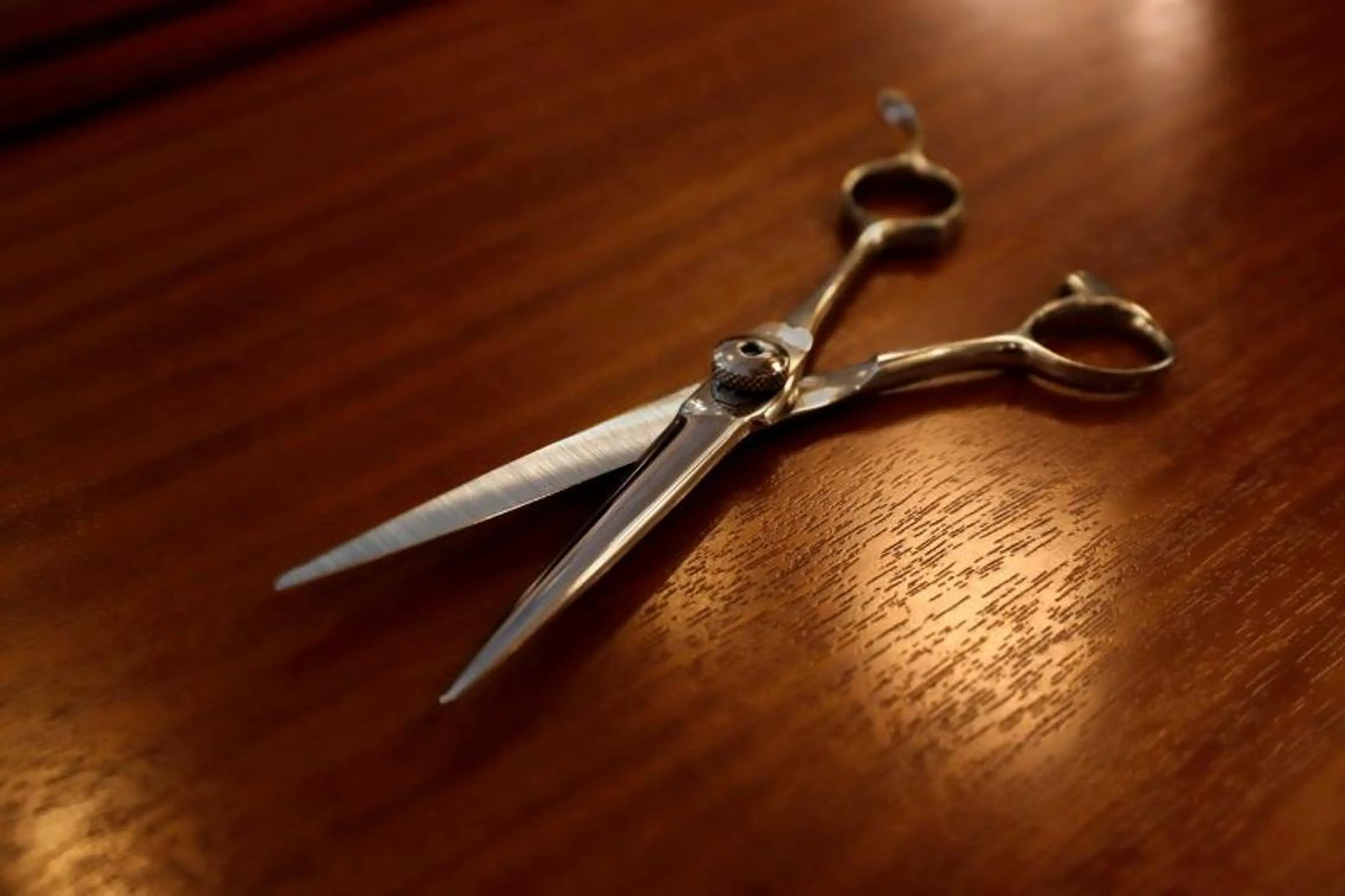 ショート メンズ 💈河村 美波💈のヘアスタイル