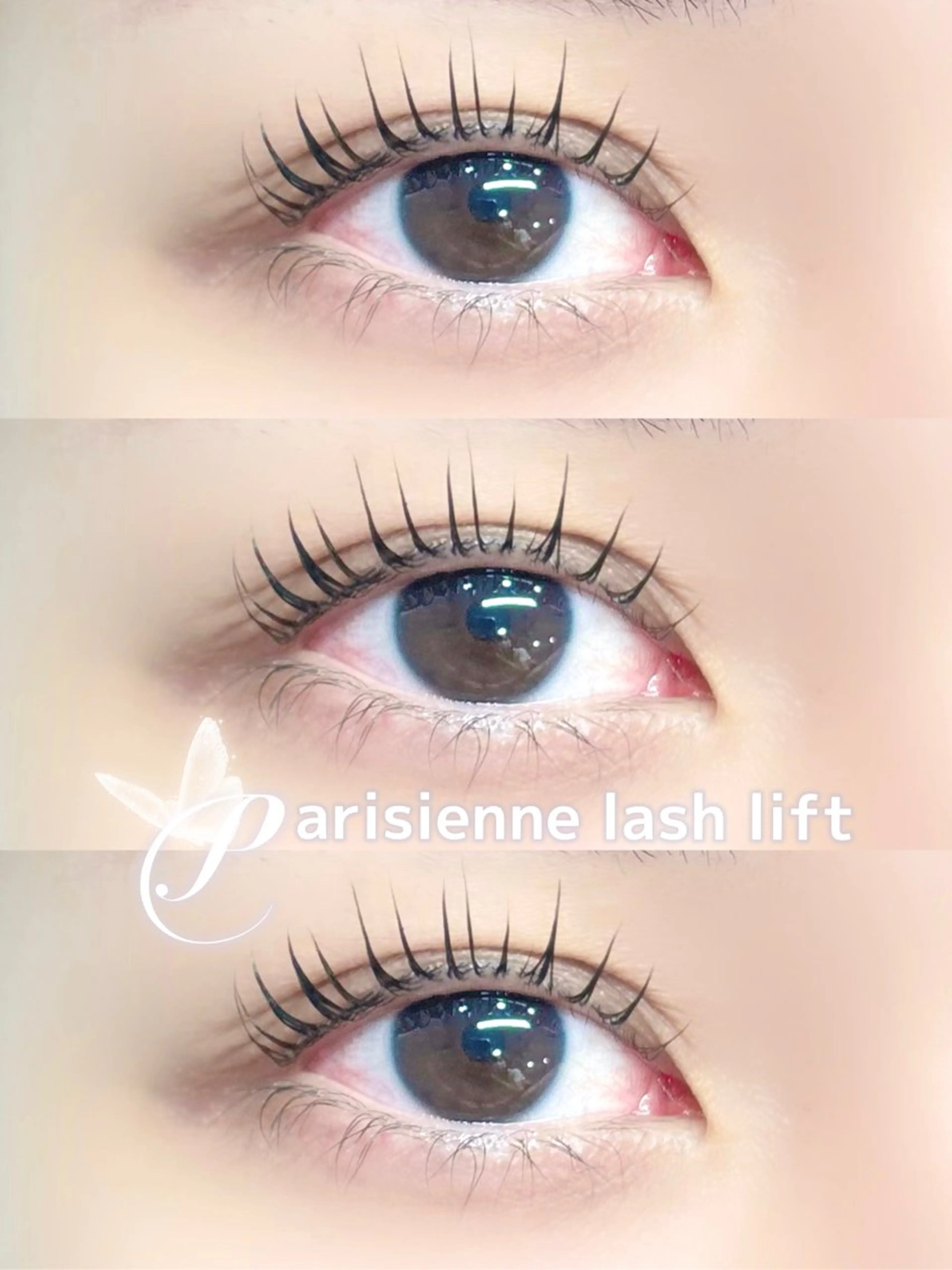 マツエク・マツパ パリジェンヌラッシュリフト Fericia 🎀ERIKAのマツエク・マツパデザイン