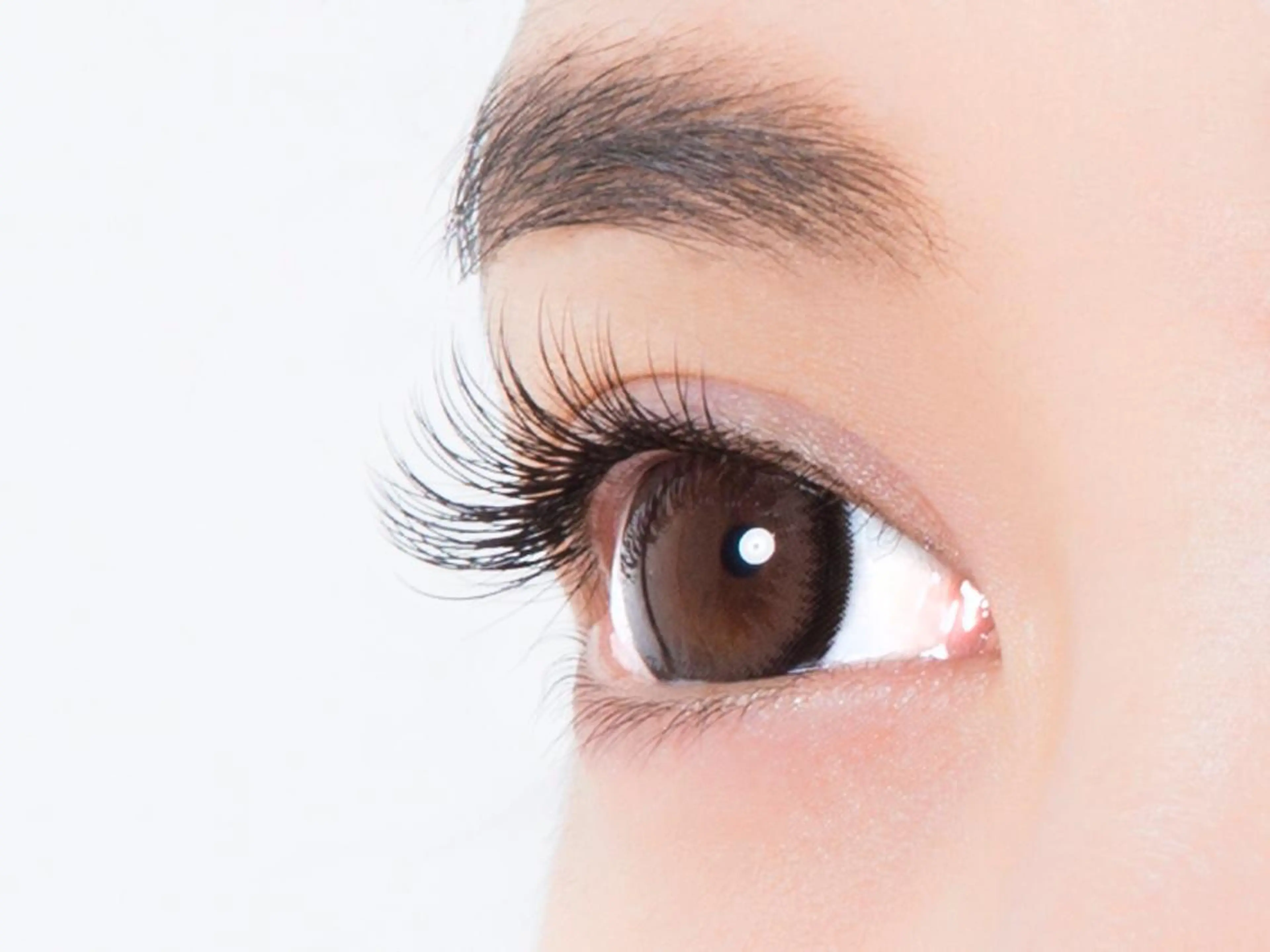 最高級プラチナセーブル！シングルラッシュ120本の写真