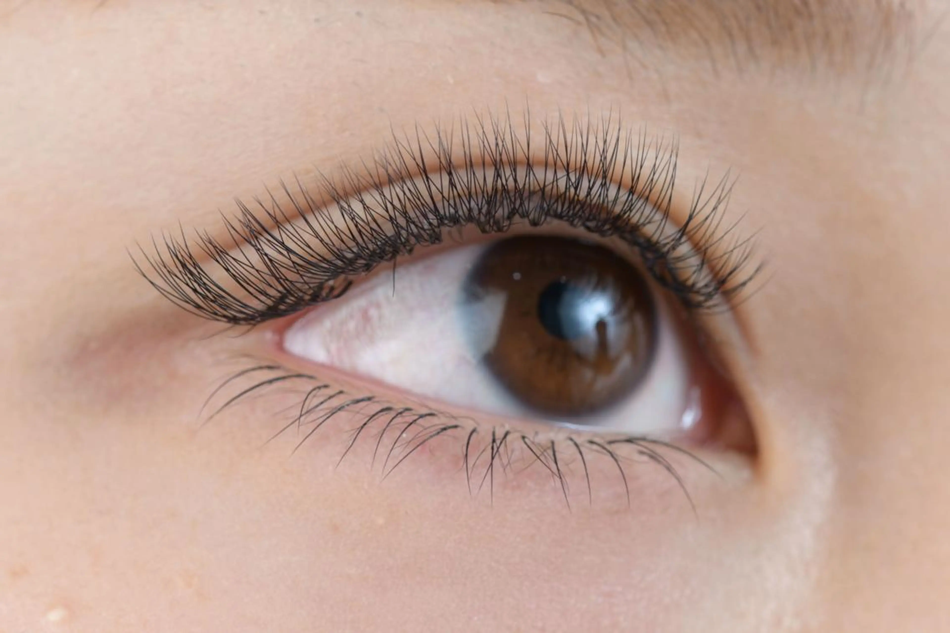 マツエク・マツパ ボリュームラッシュ アイサロン フェア 海老名店のマツエク・マツパデザイン