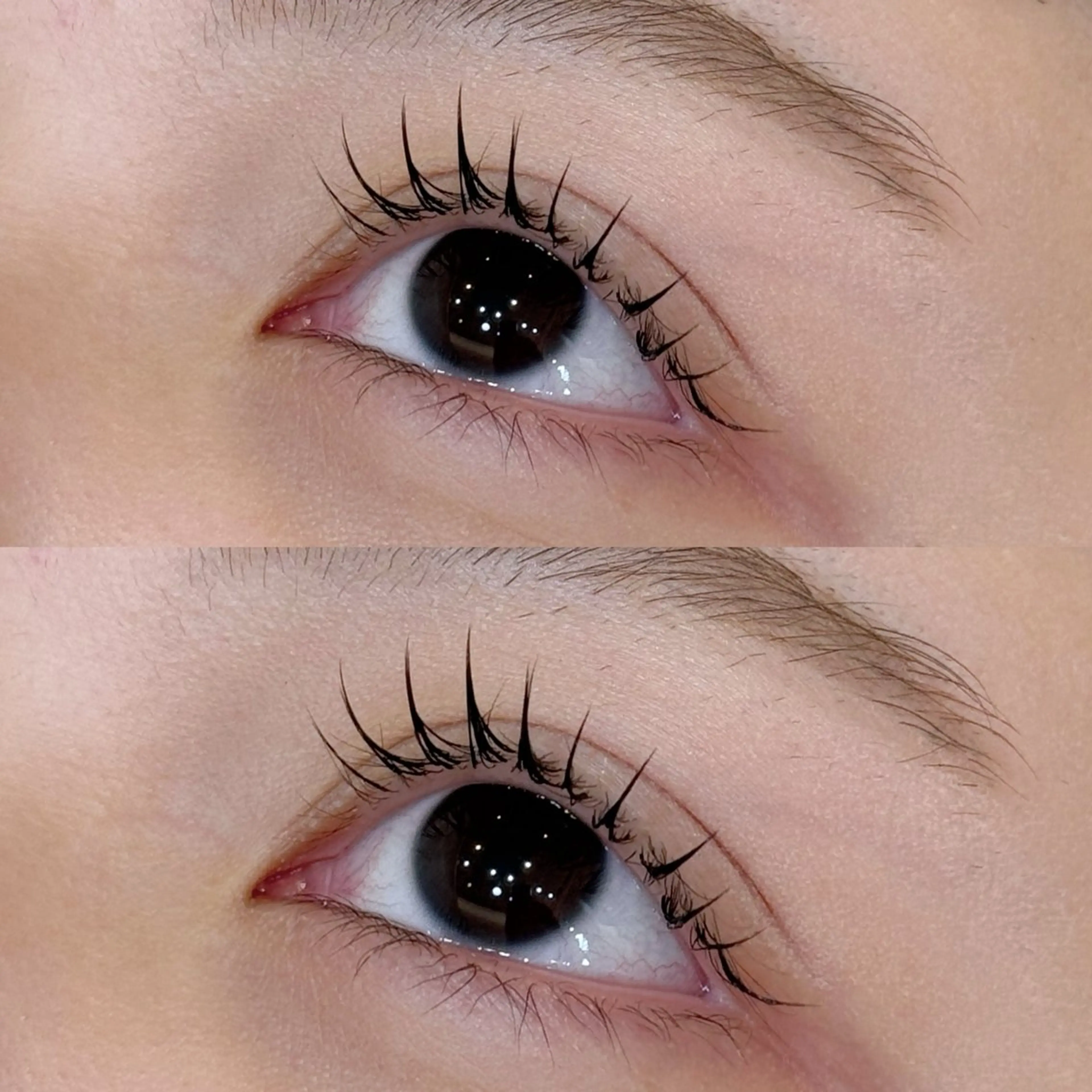 マツエク・マツパ 🐶 IZUMI 🐾のマツエク・マツパデザイン