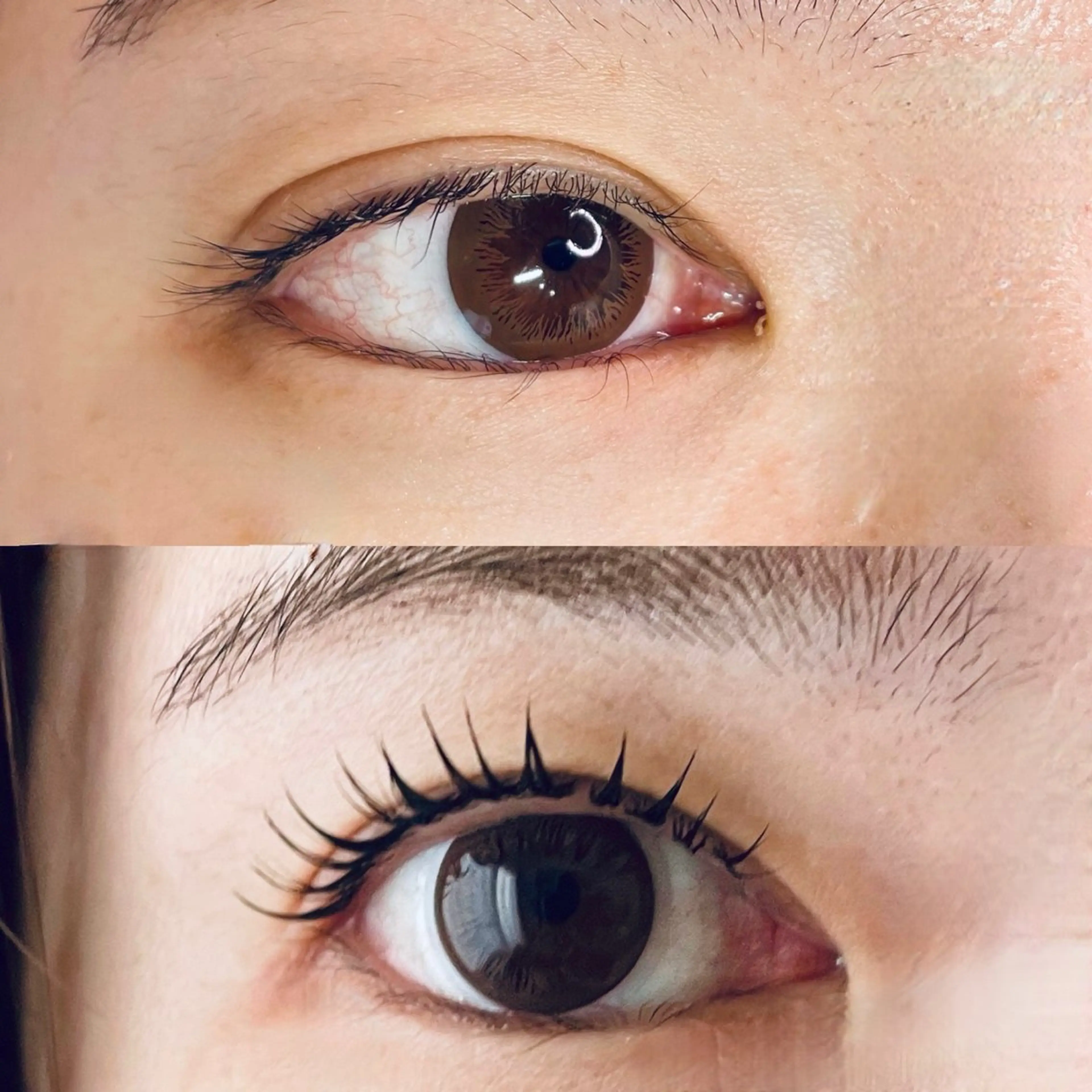 アンドヘルシー＆healthyの写真