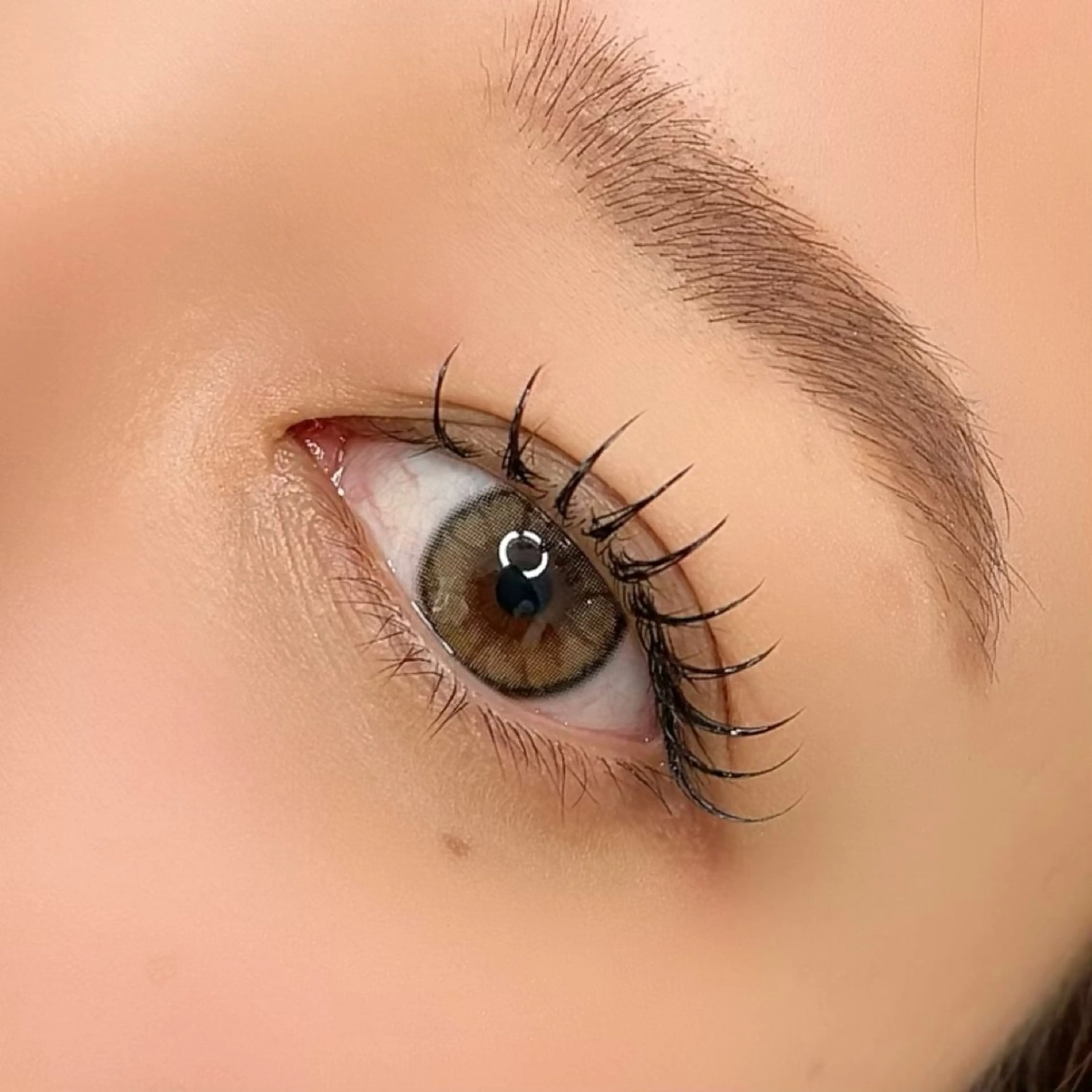 フラットラッシュつけ放題(オフ込み)¥6,000の写真