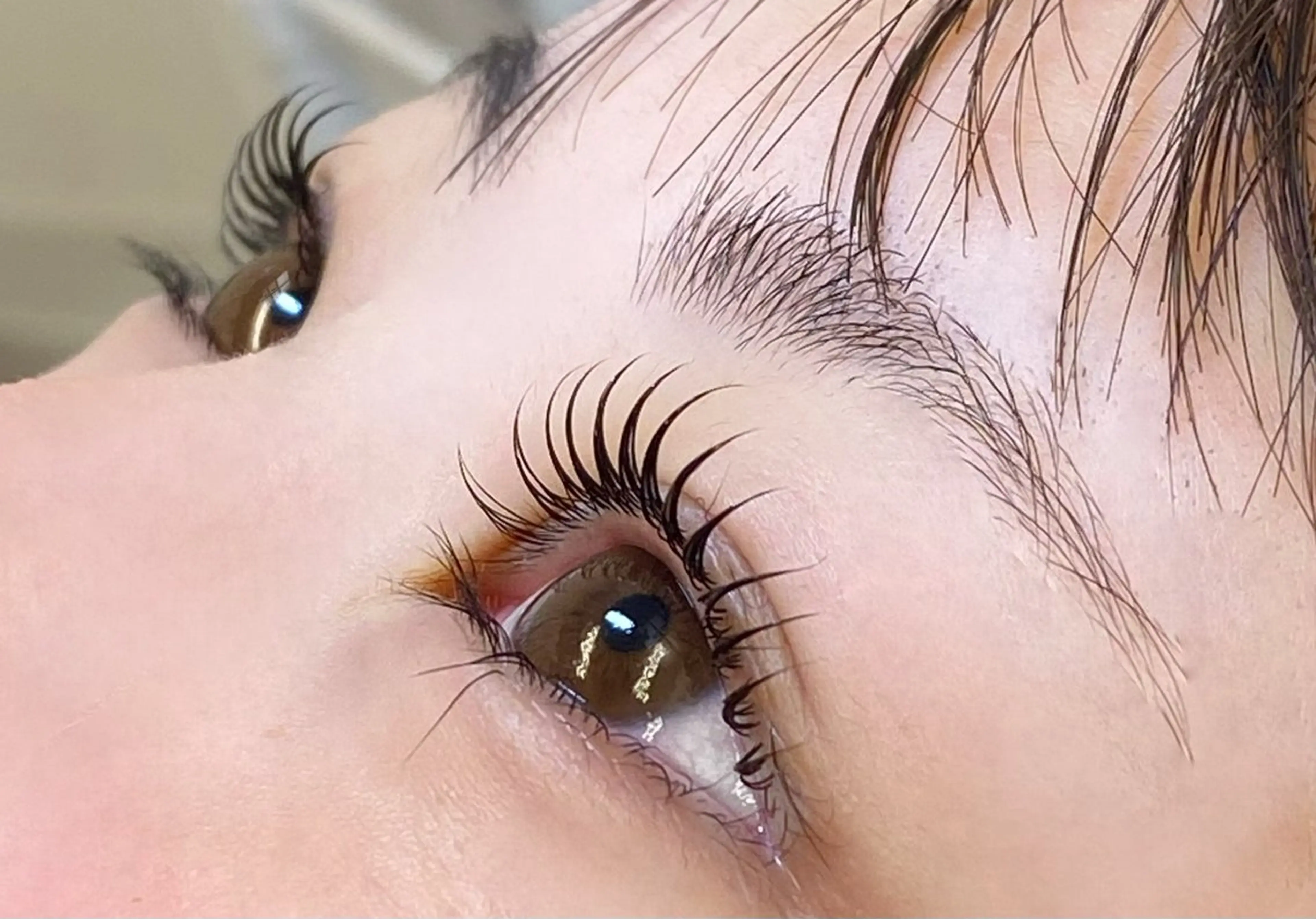 マツパ　次回予約の写真