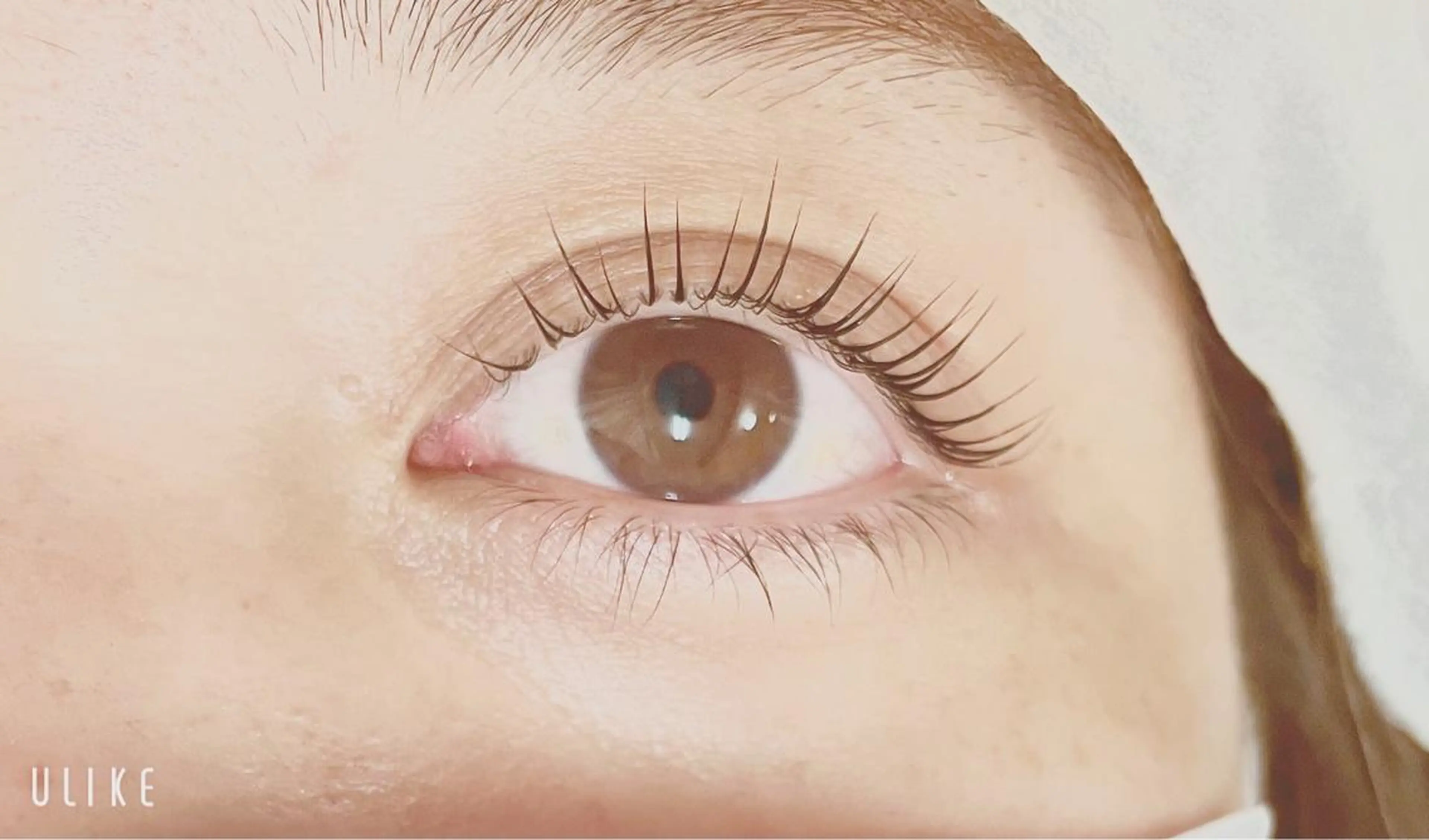 ■24h映え!上まつ毛パーマ■の写真