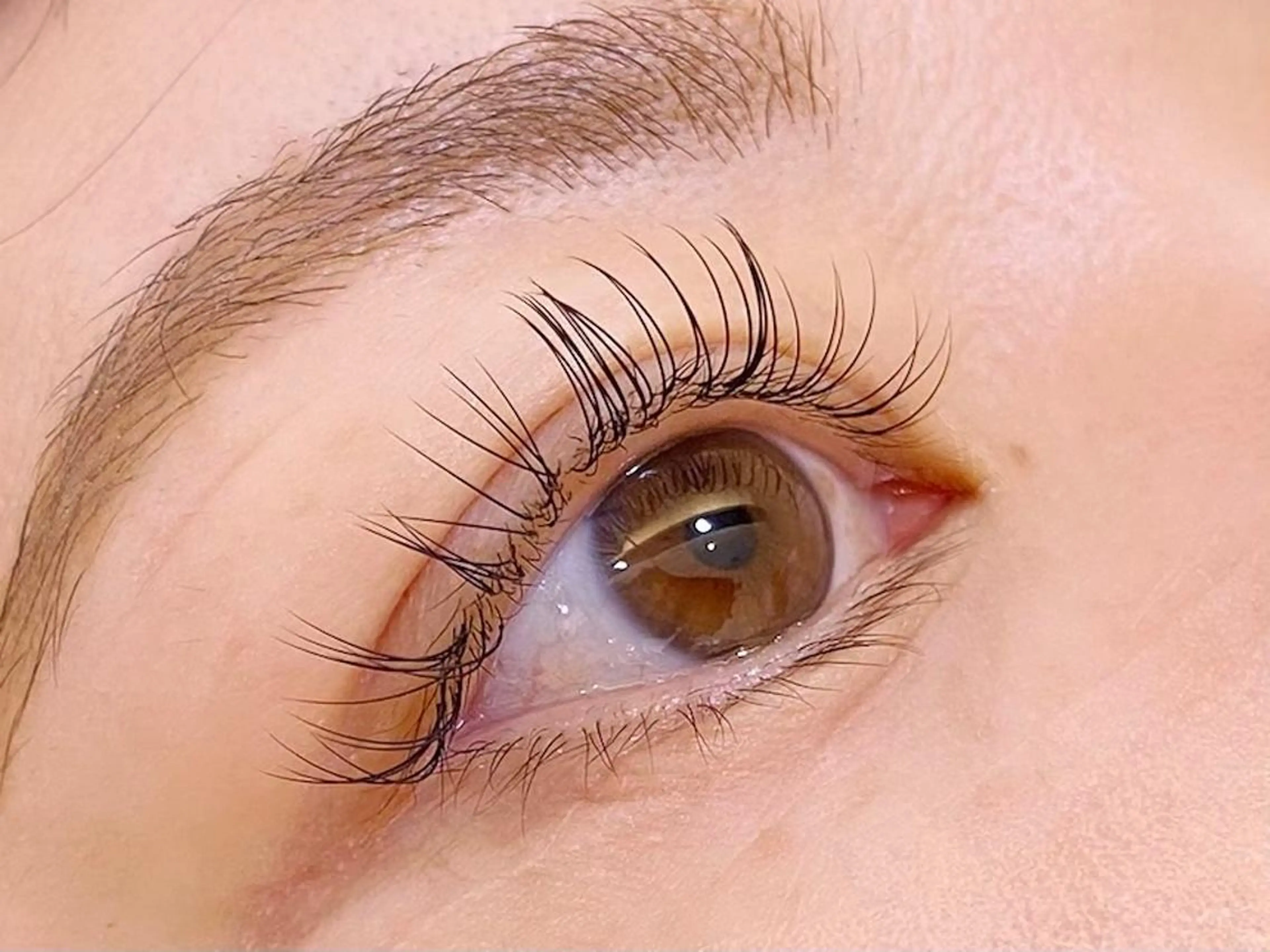 【ミニモ学割】フラットラッシュ100本🫧付け足し🆗の写真