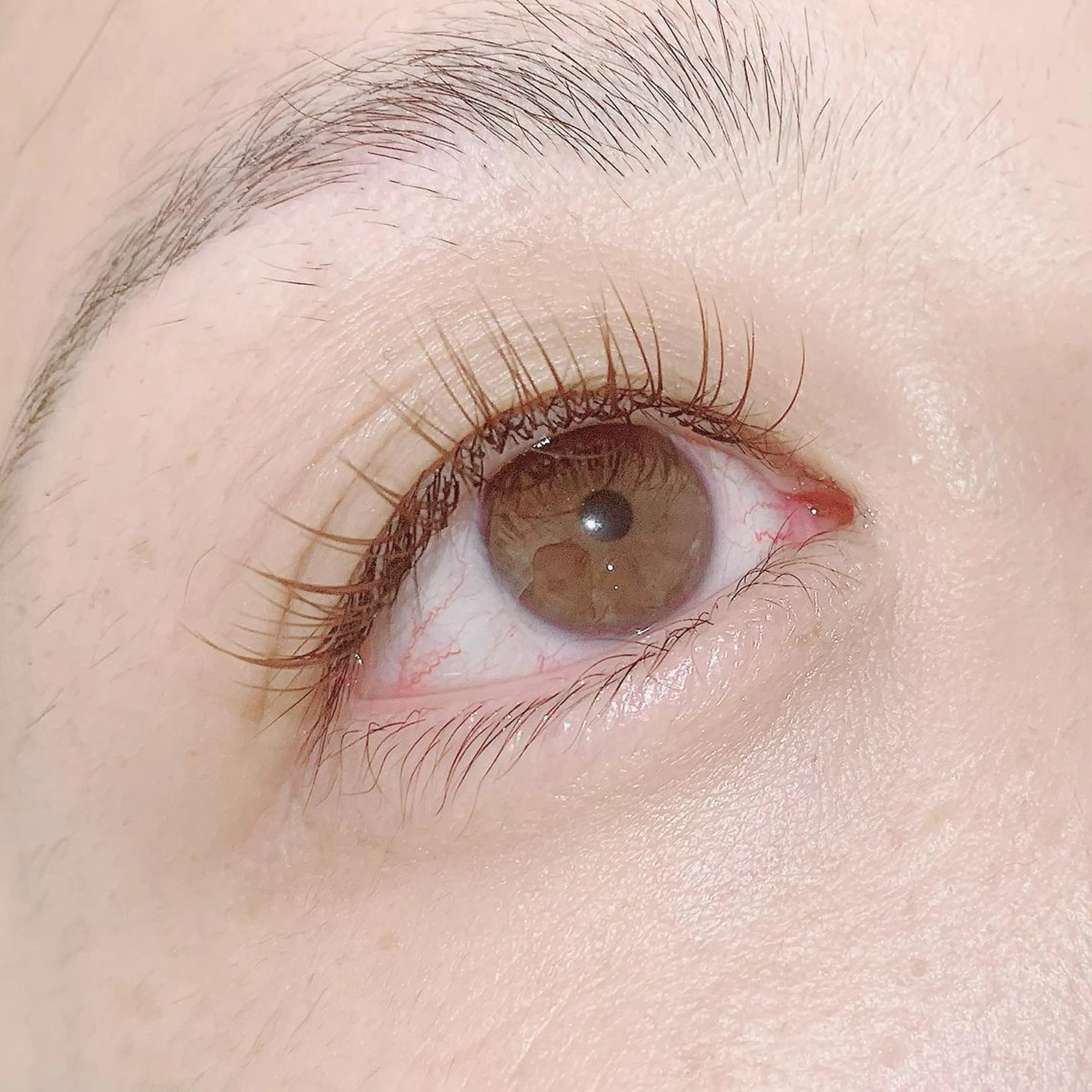 マツエク・マツパ カラーマツエク 池袋駅韓国風🇰🇷 束感💗Tomoのマツエク・マツパデザイン