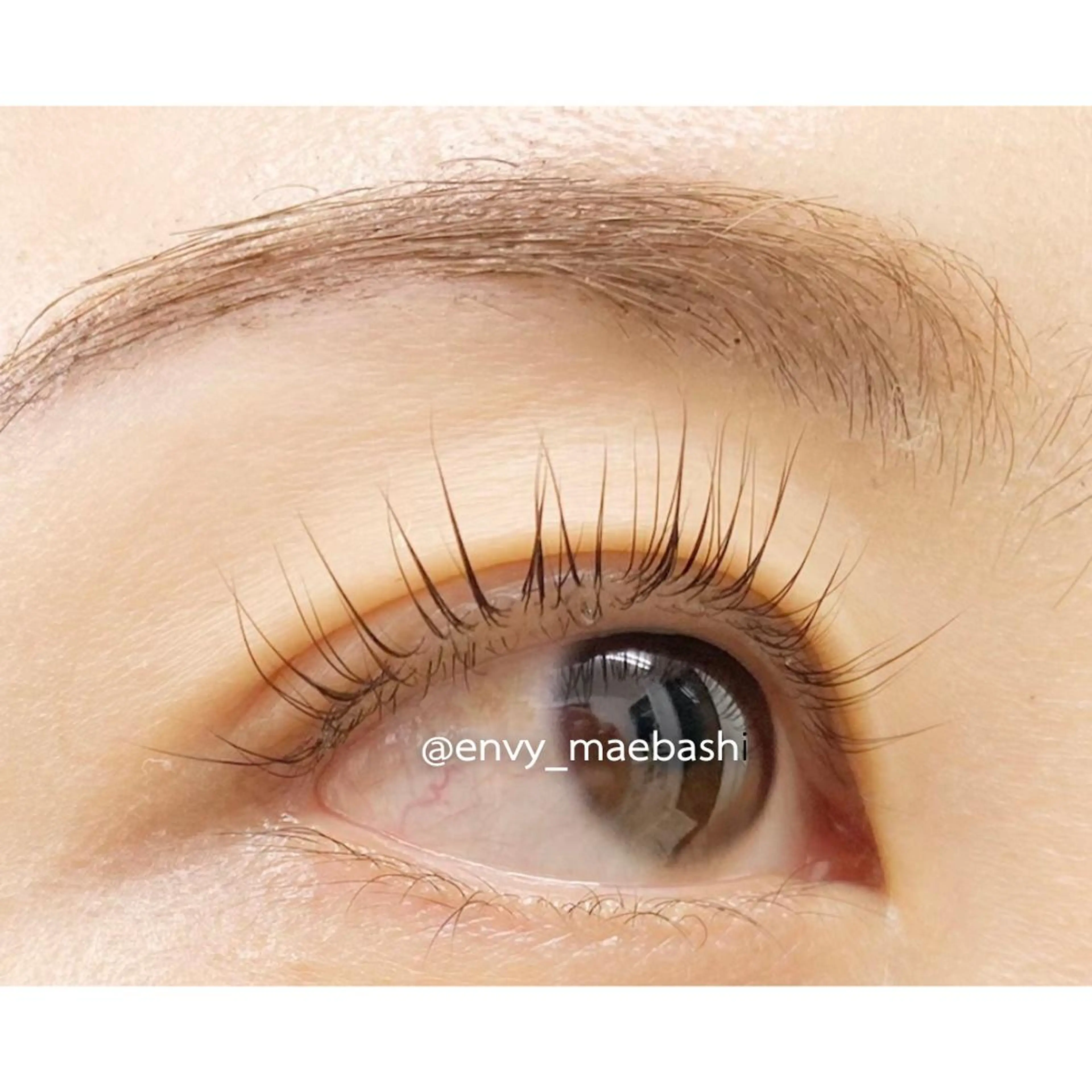 ラッシュリフト上(トリートメント込)パリジェンヌラッシュリフトの写真