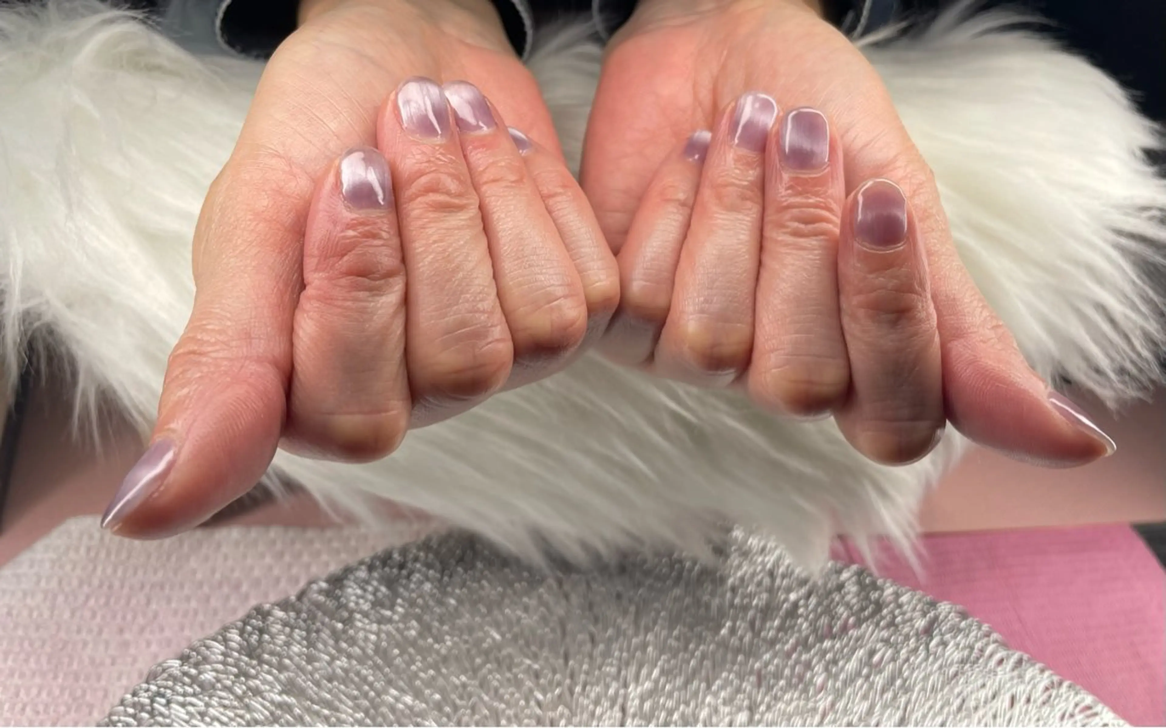 オフ無しワンカラー（マグネットOK）の写真