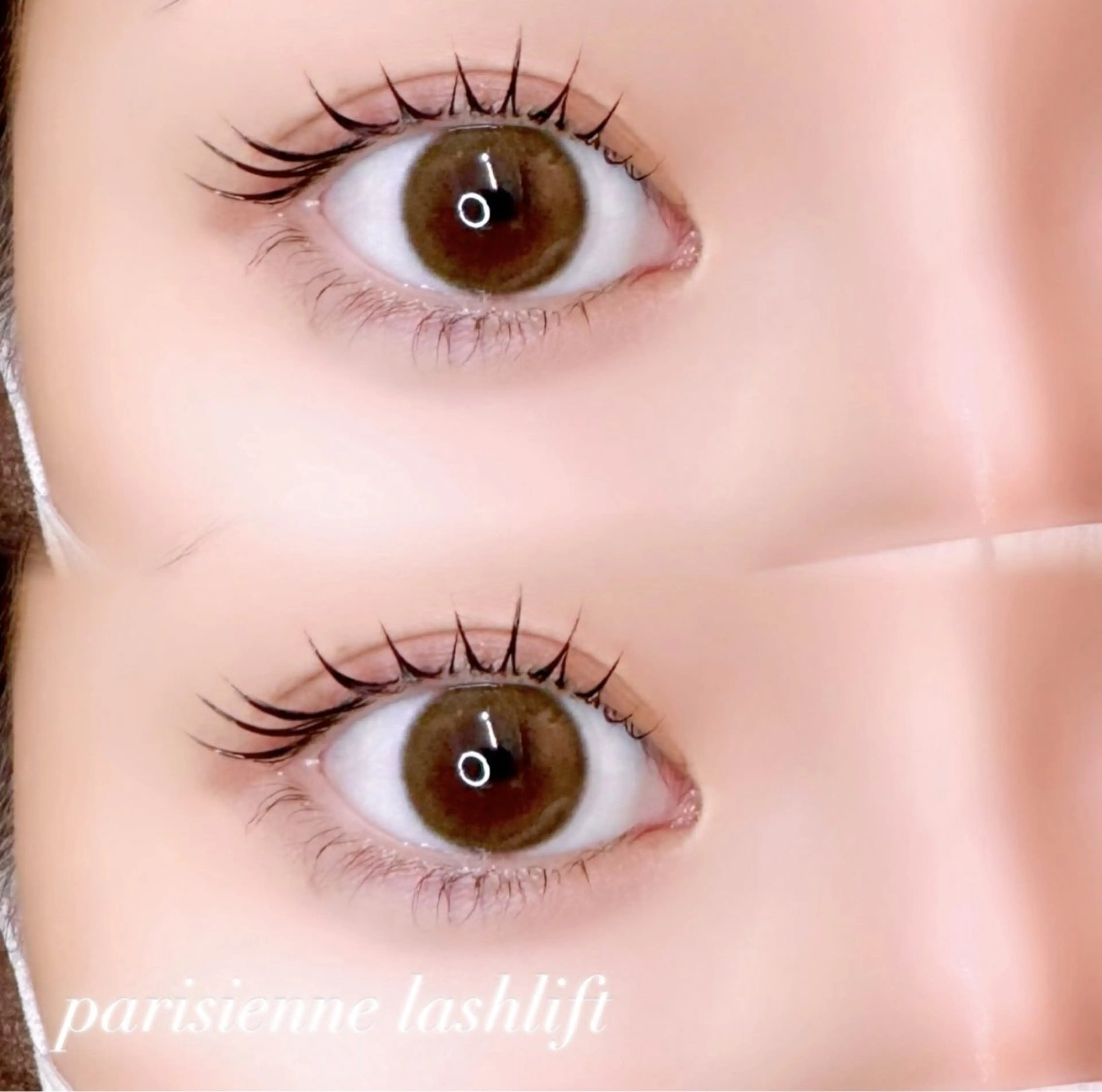 マツエク・マツパ マツパ 🦖fein. YUINA🦕⋆͛のマツエク・マツパデザイン