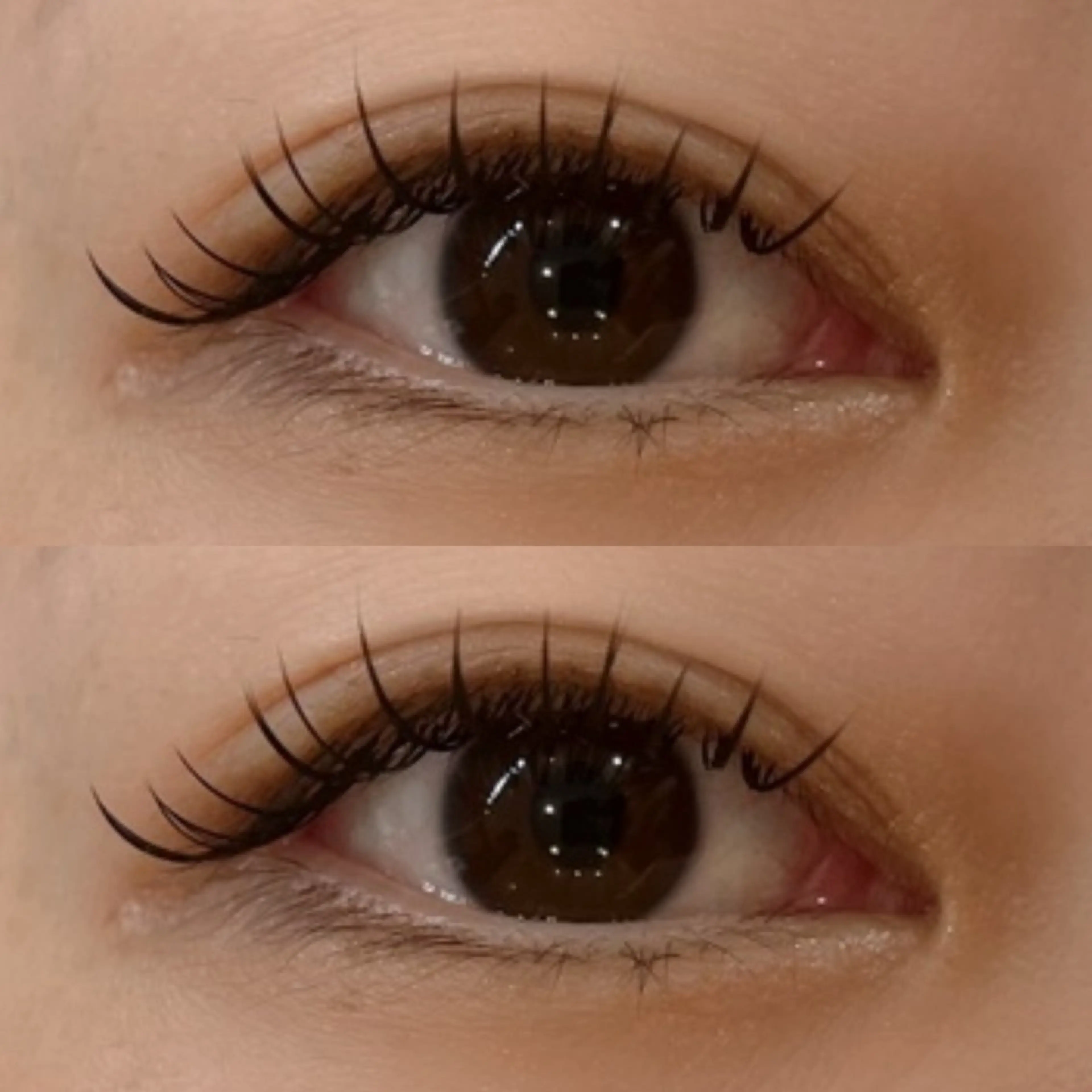 🪞LED バインドロック 120束🪞の写真