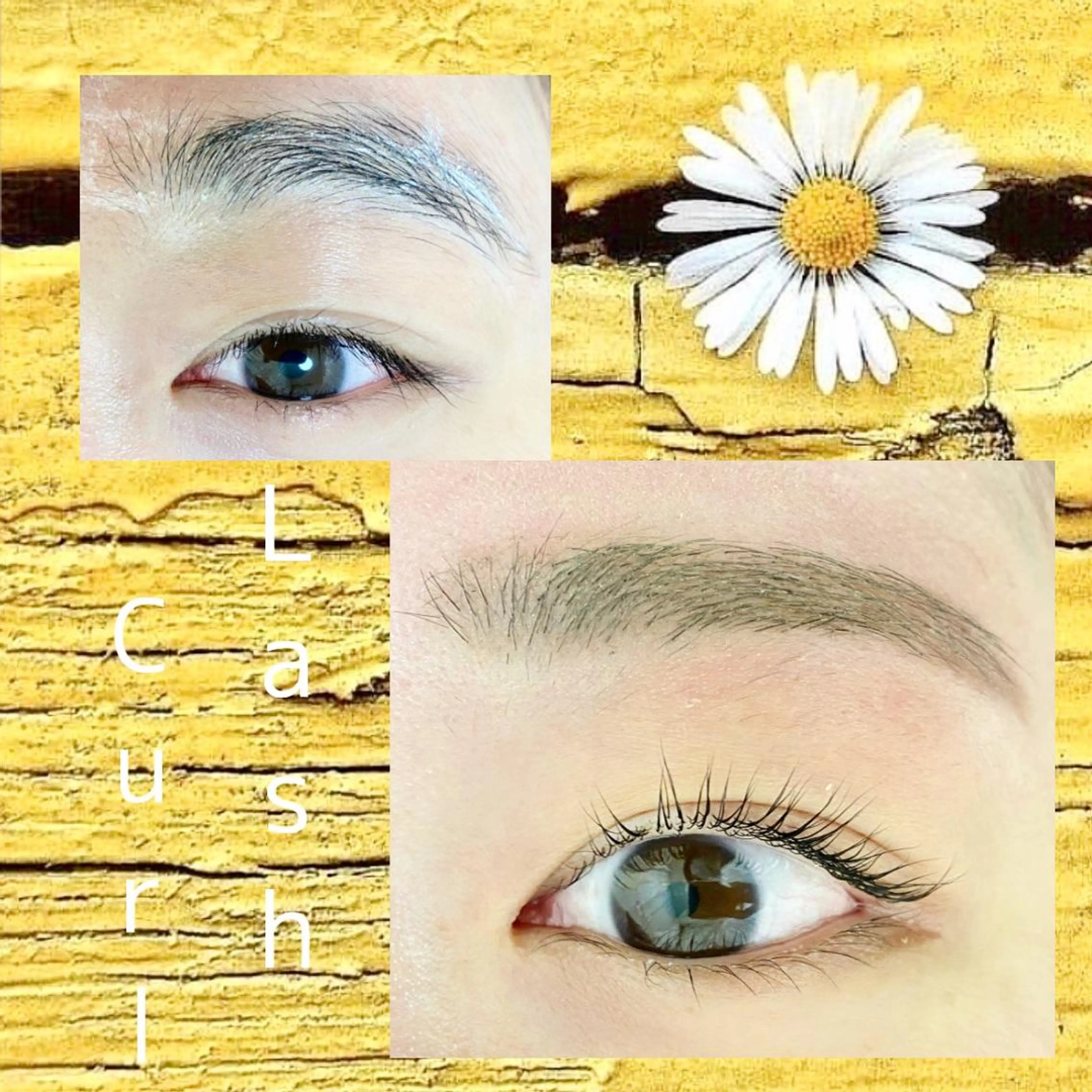 マツエク・マツパ ulu beautysalon所属・アイブロウモデル募集 Yukiの眉毛・アイブロウイメージ