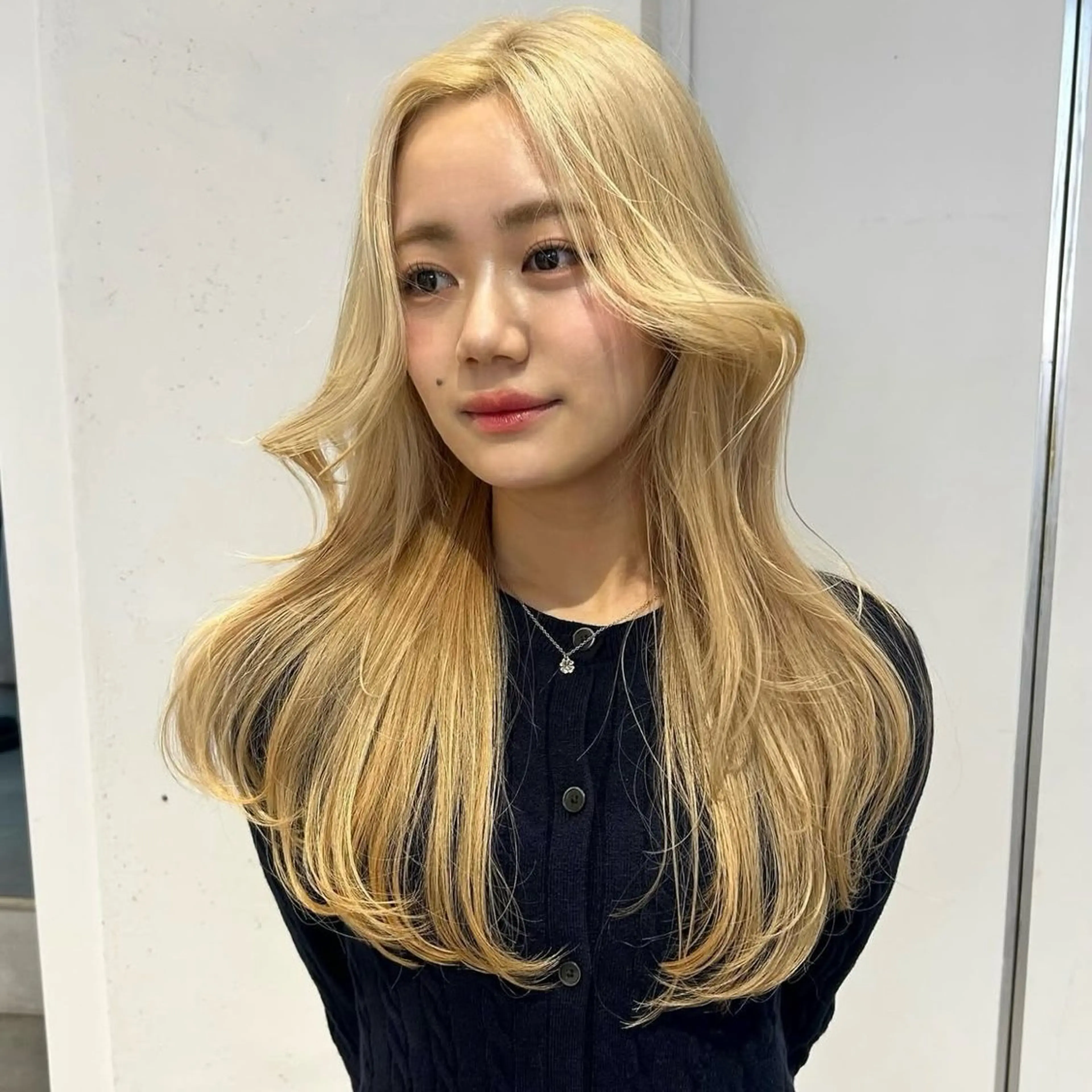 カラー ヘアカラー ハッシュレイヤー/ ハイトーン/senaのヘアスタイル