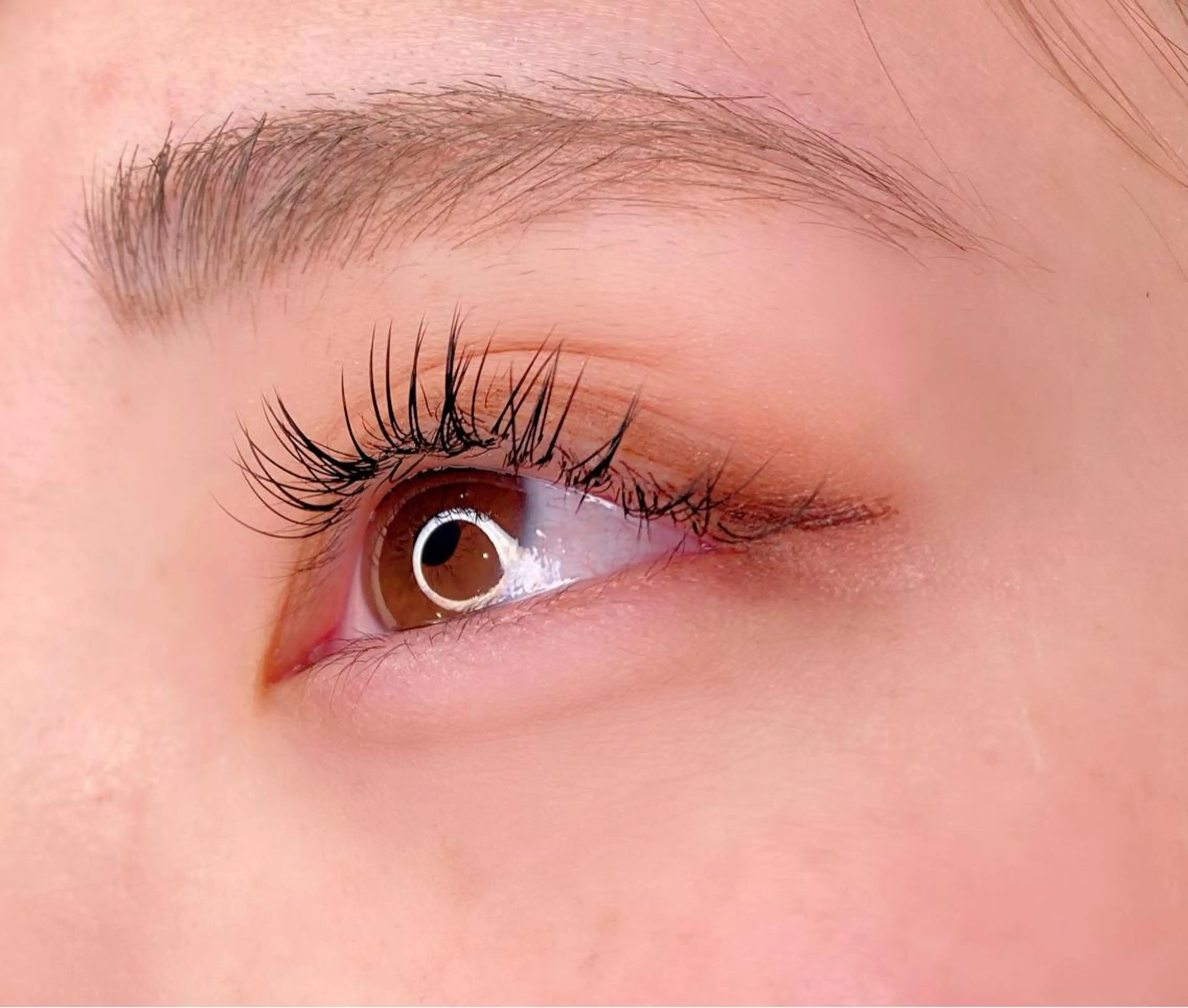 フラットラッシュ100本✨🥰(オフ込、コーティング仕上げ❣️)の写真