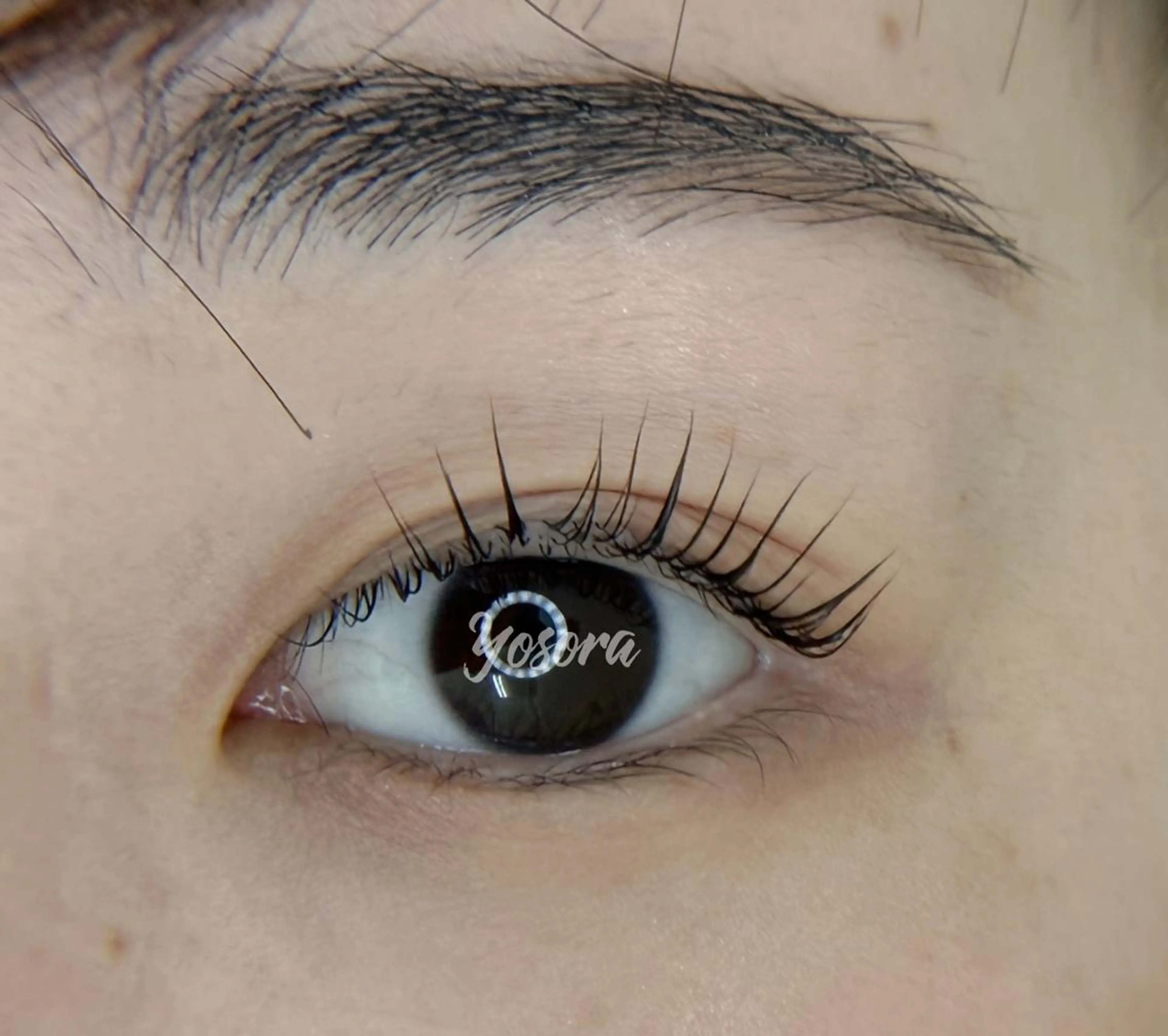 マツエク・マツパ Lカール 一重×まつ毛パーマ マツパ 浅草橋 Yosoraのマツエク・マツパデザイン