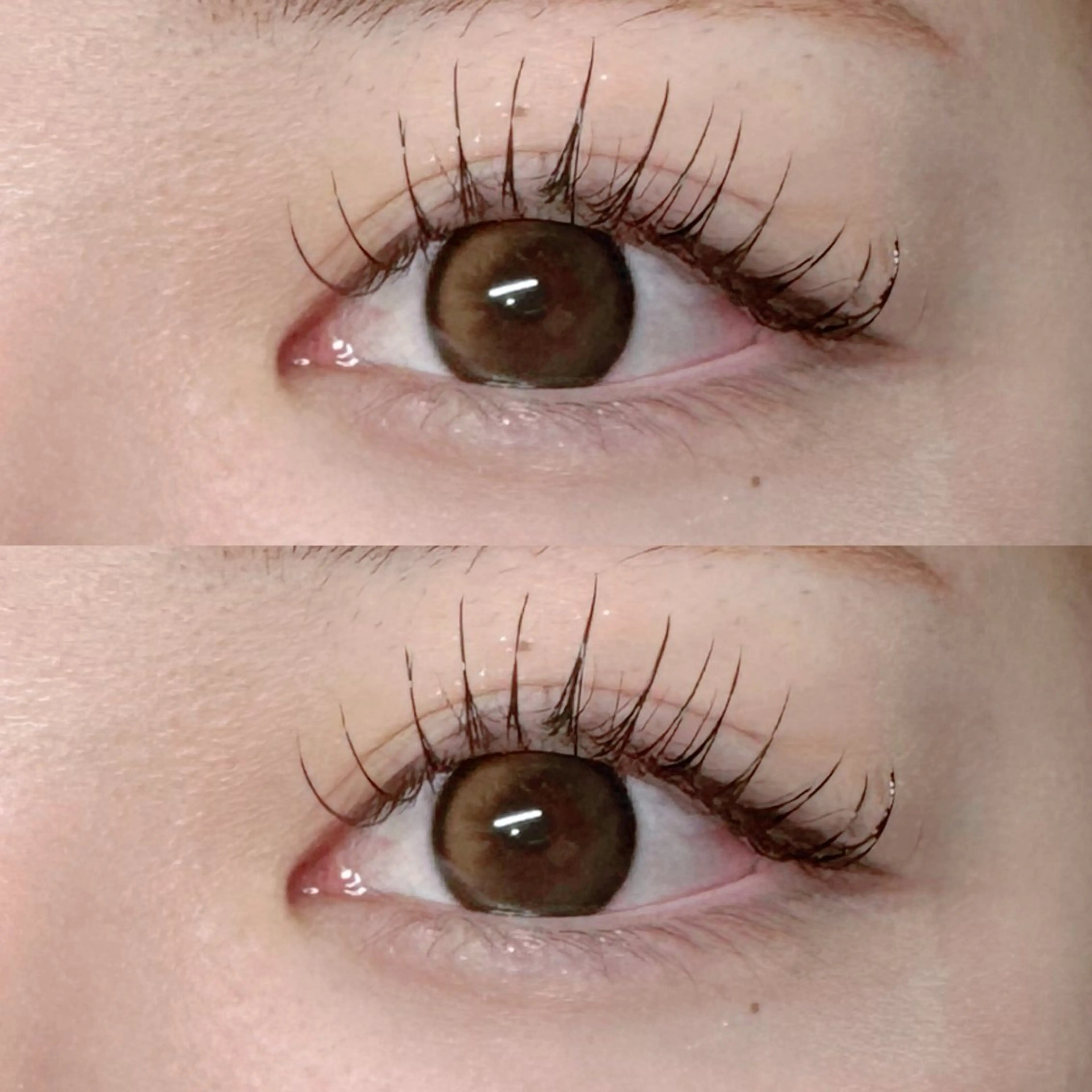 マツエク・マツパ LUCY 心斎橋 / 岸本のマツエク・マツパデザイン