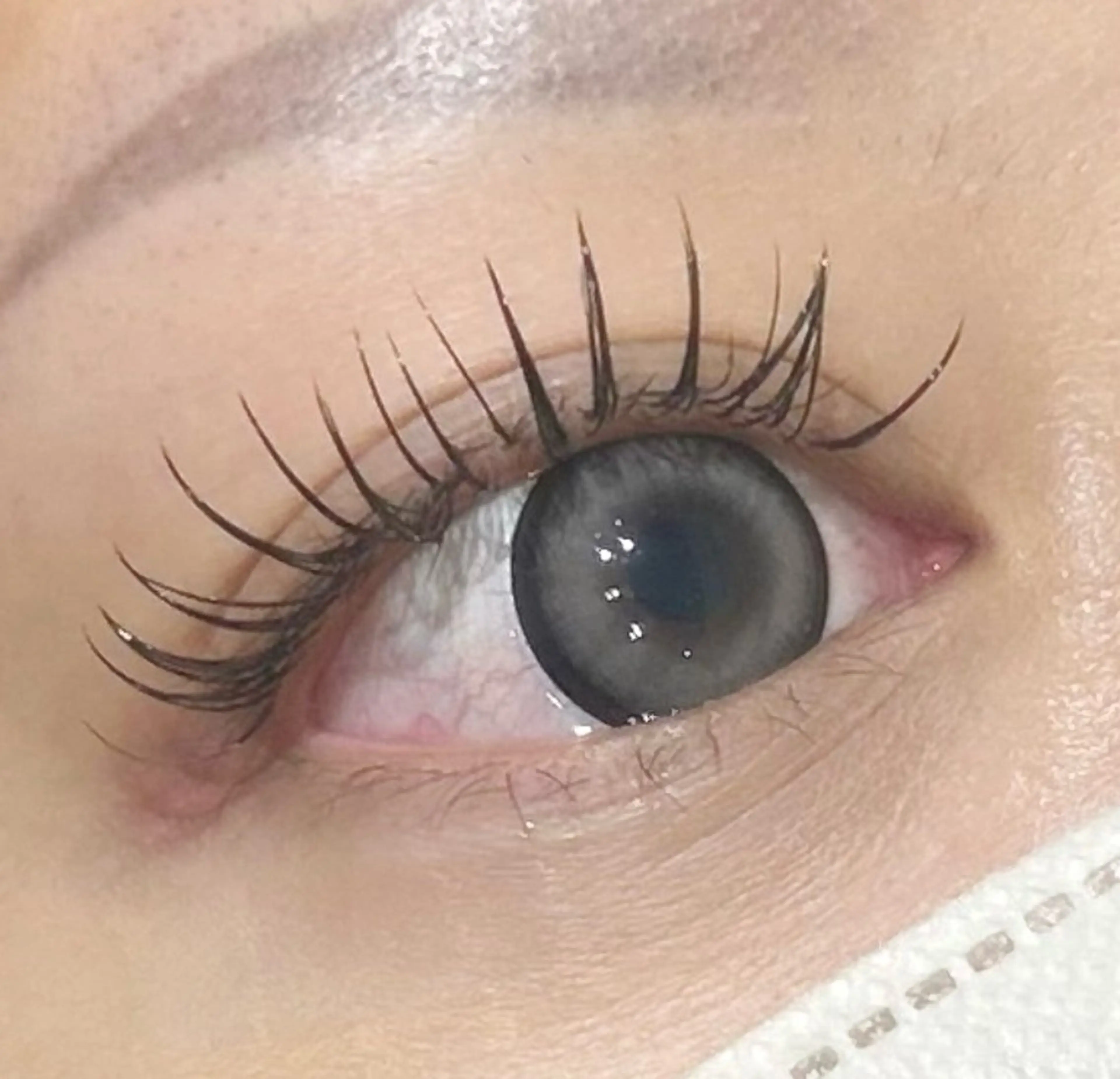 【2/10先着1名様限定‼️】オフ込みバインドロック120束説明欄をよく読んだ上ご予約ください。の写真