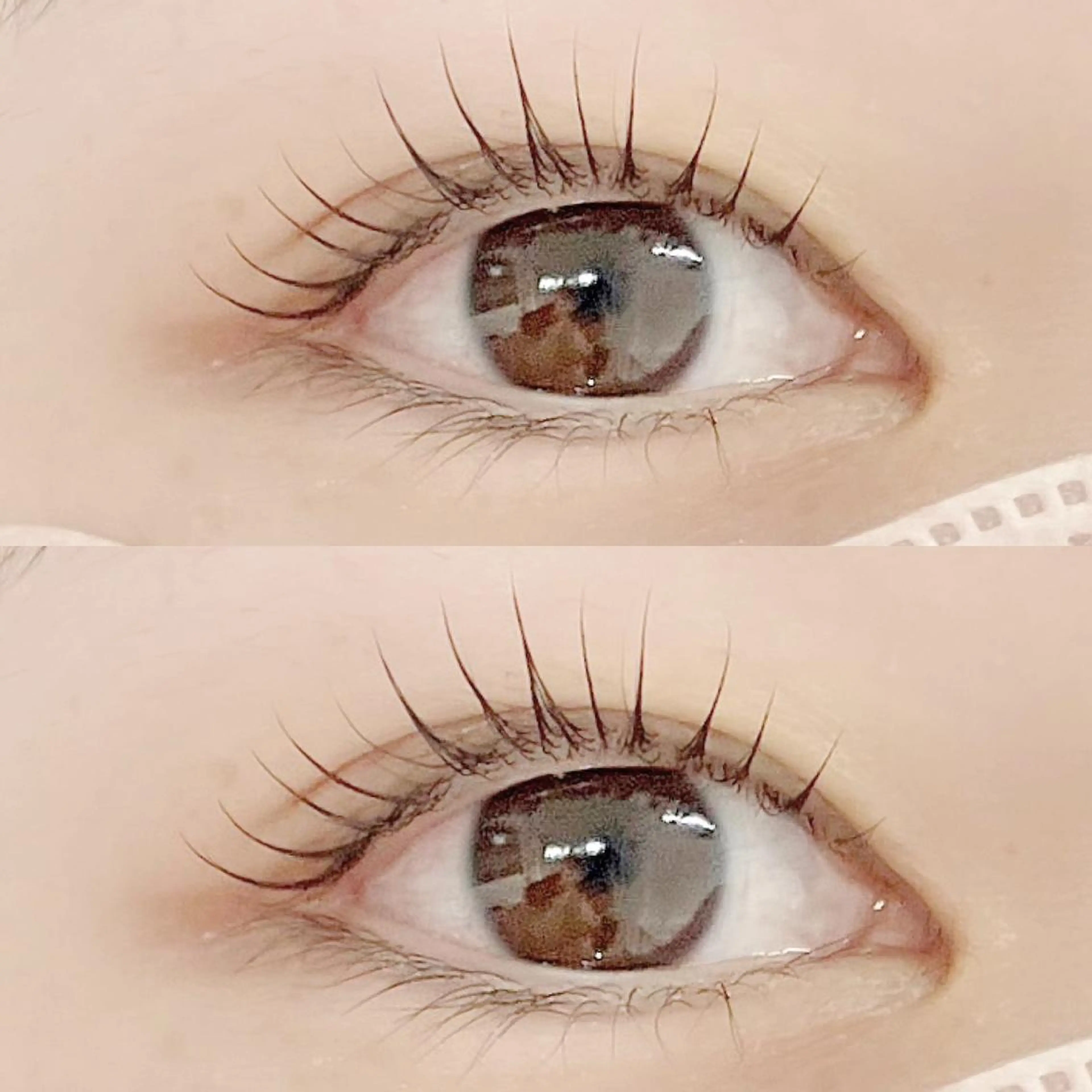 マツエク・マツパ フジ ワラのマツエク・マツパデザイン