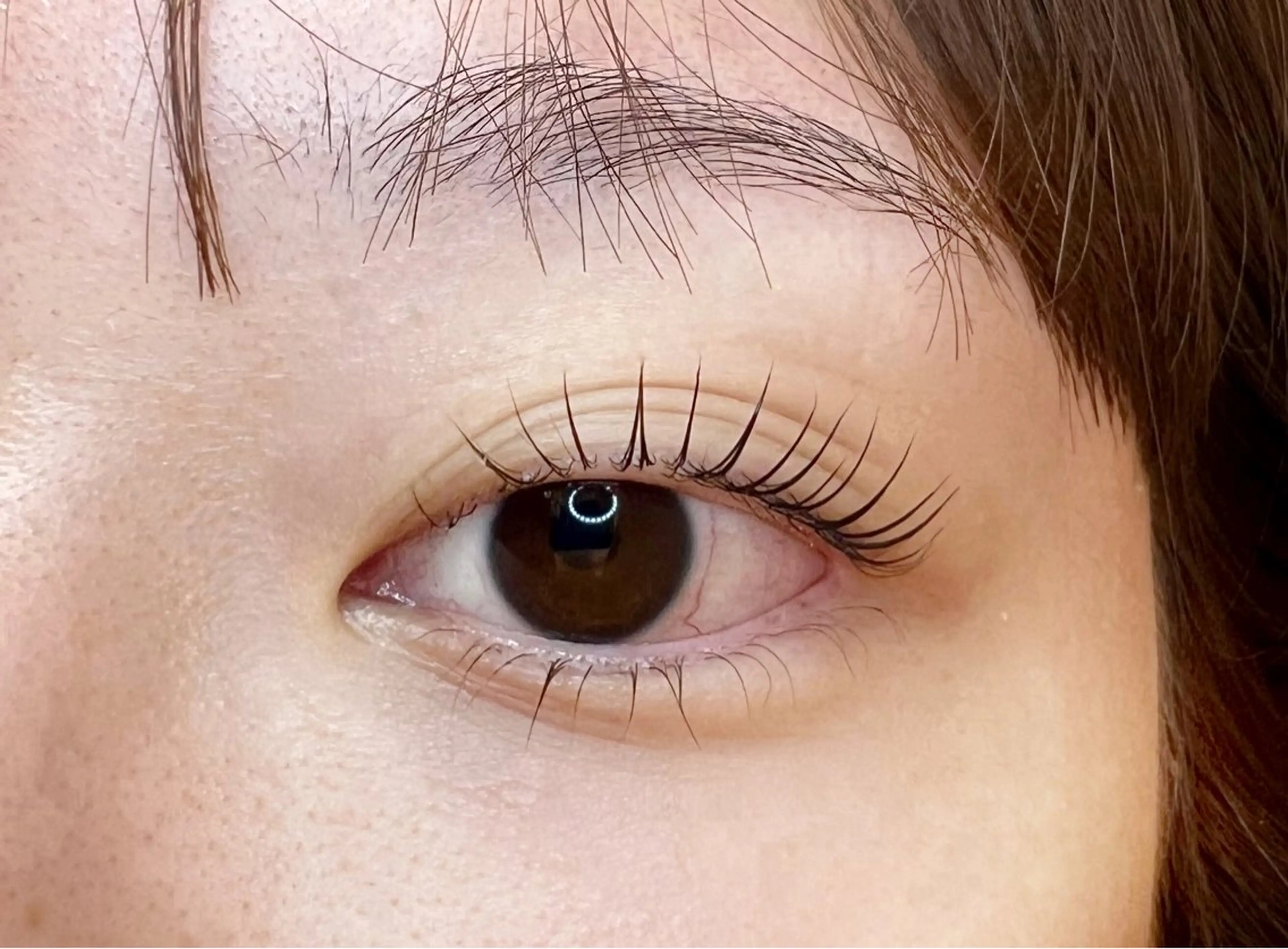 ラッシュリフト👀￥6200→￥4500の写真