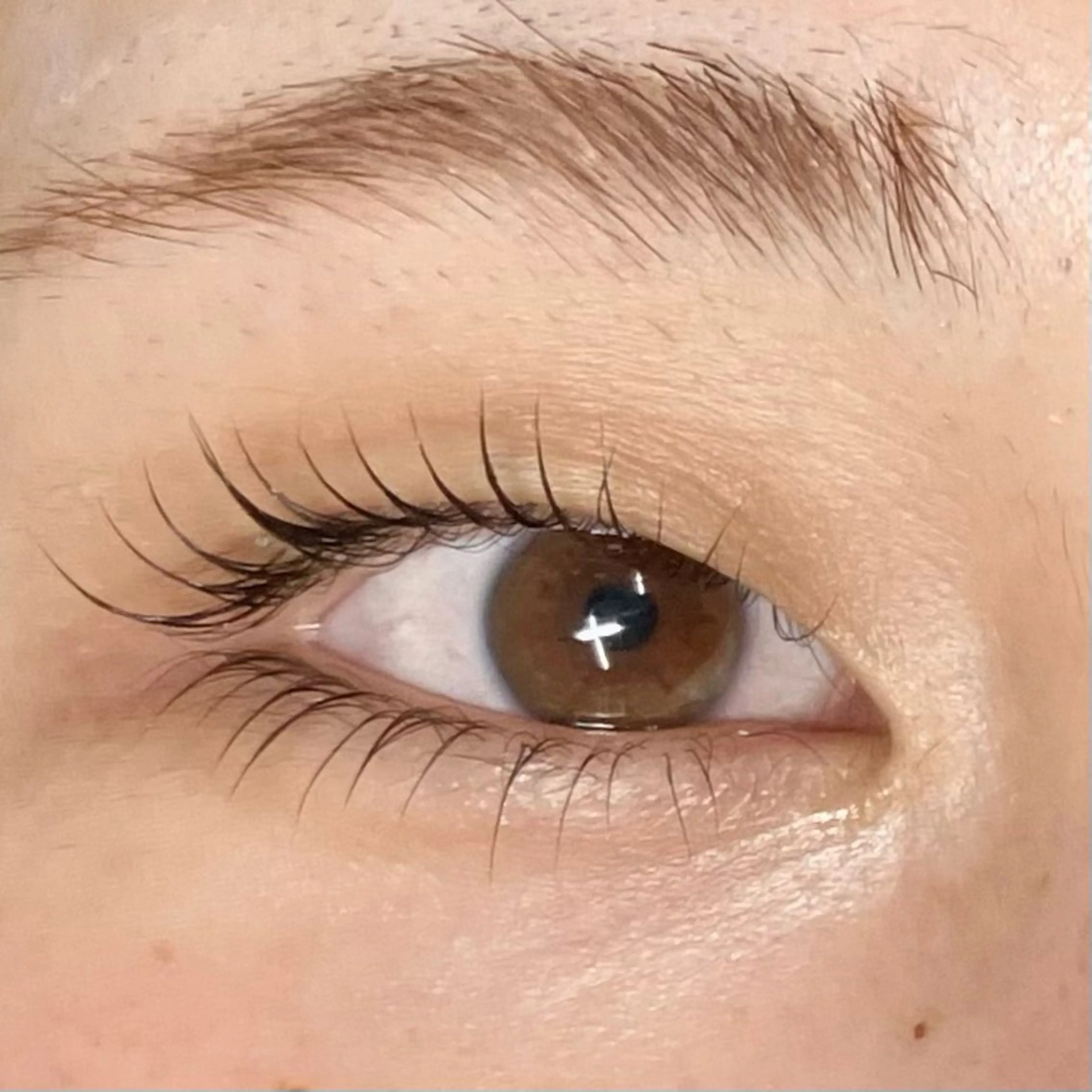 マツエク・マツパ 下まつげエクステ まつげと眉毛のお店Sakura Lash【サクララッシュ】所属・【ダメージケア特化】 🌸 サクララッシュの眉毛・アイブロウイメージ